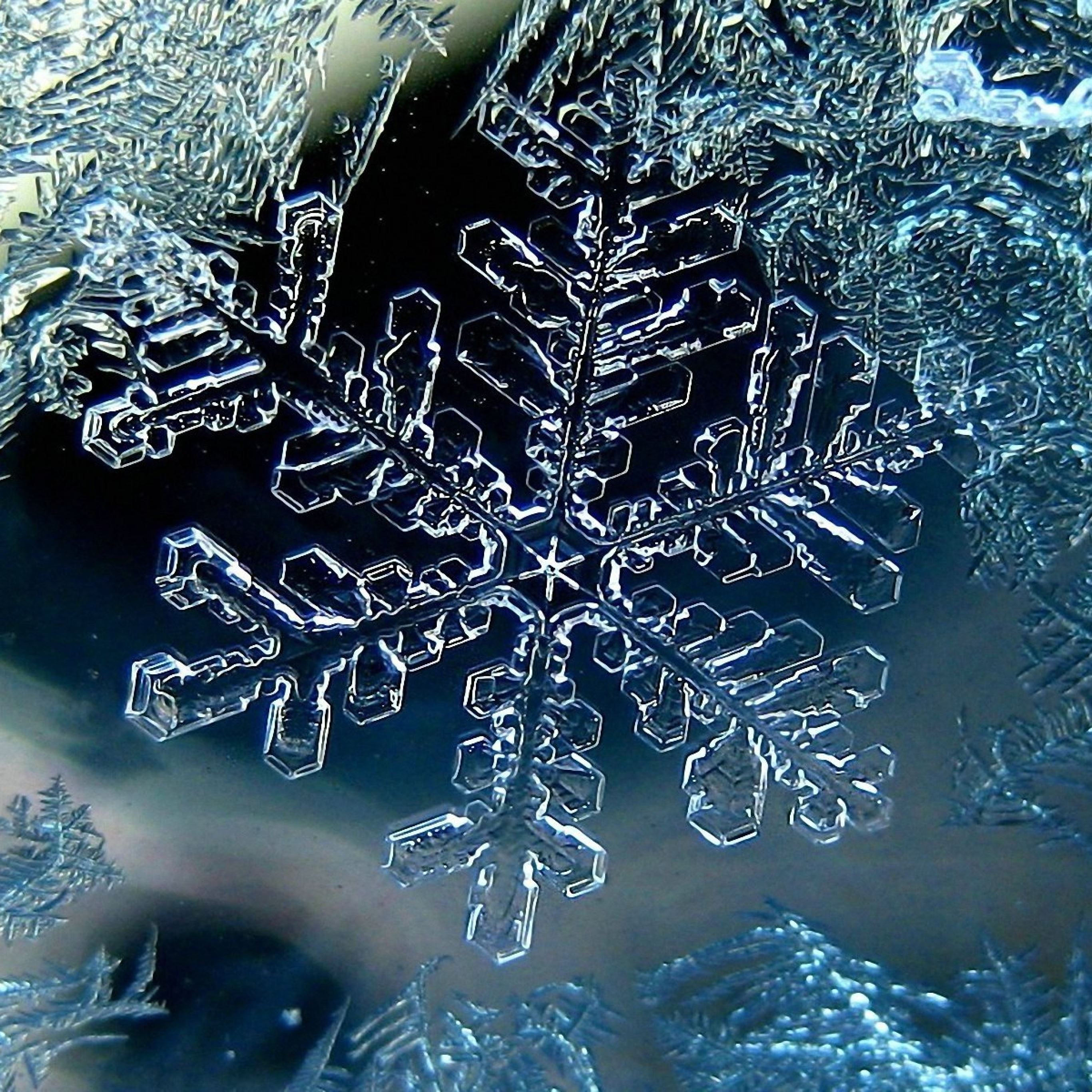 A snowflake is seen under a microscope. - Snowflake