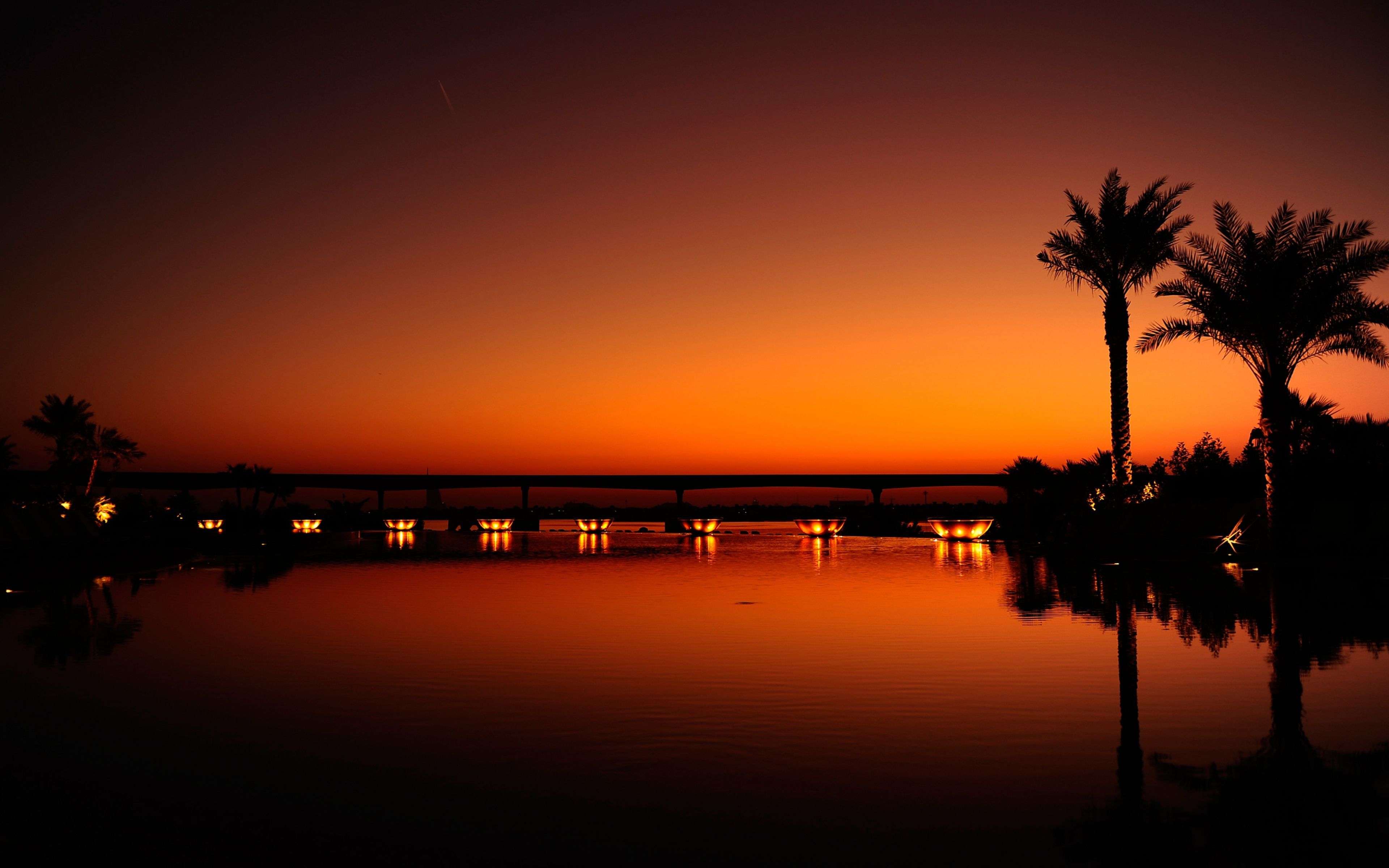 A sunset over water with palm trees - Dark orange