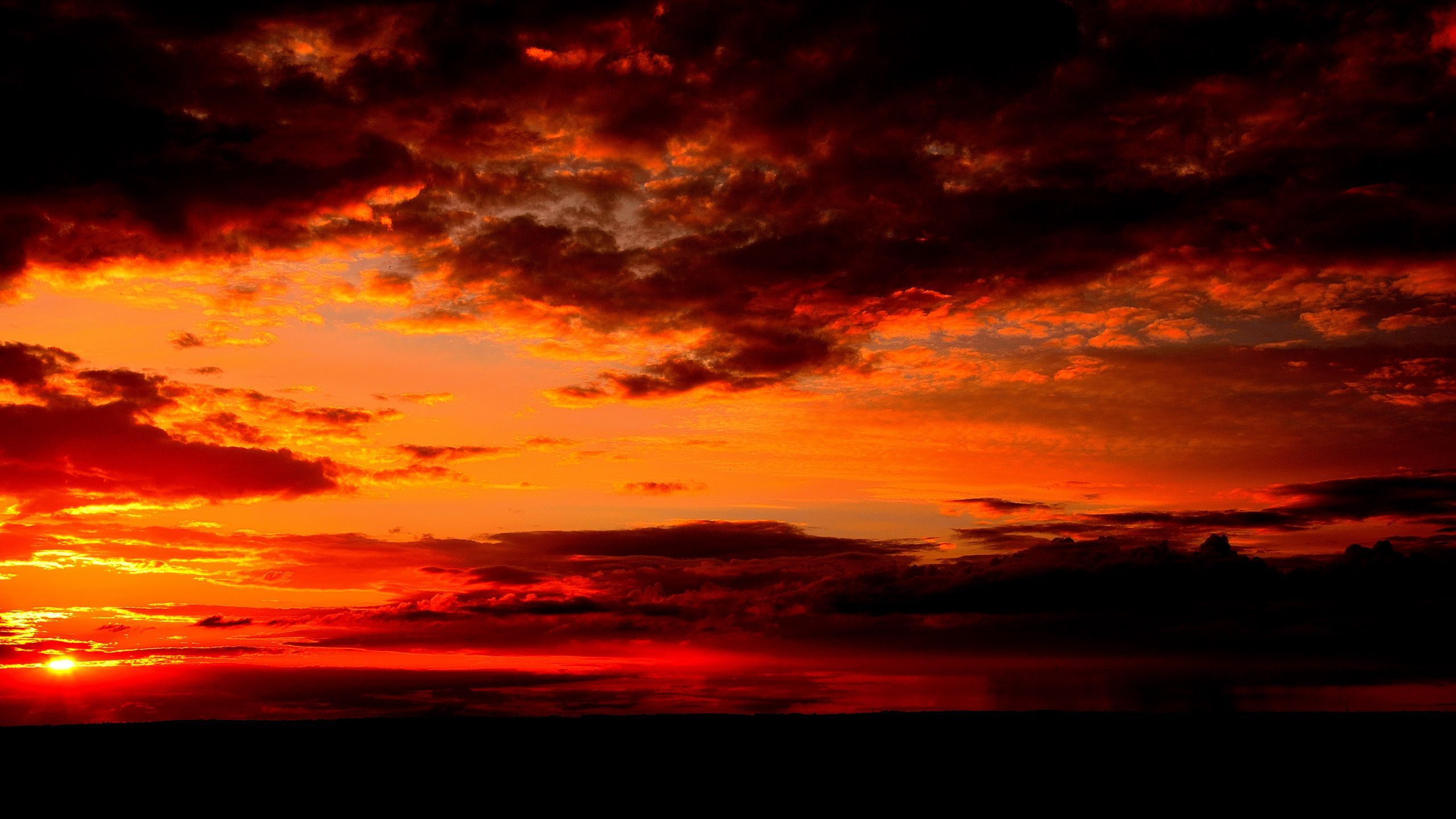 Download wallpaper 2560x1440 clouds, sunset, horizon, dark widescreen 16:9 HD background