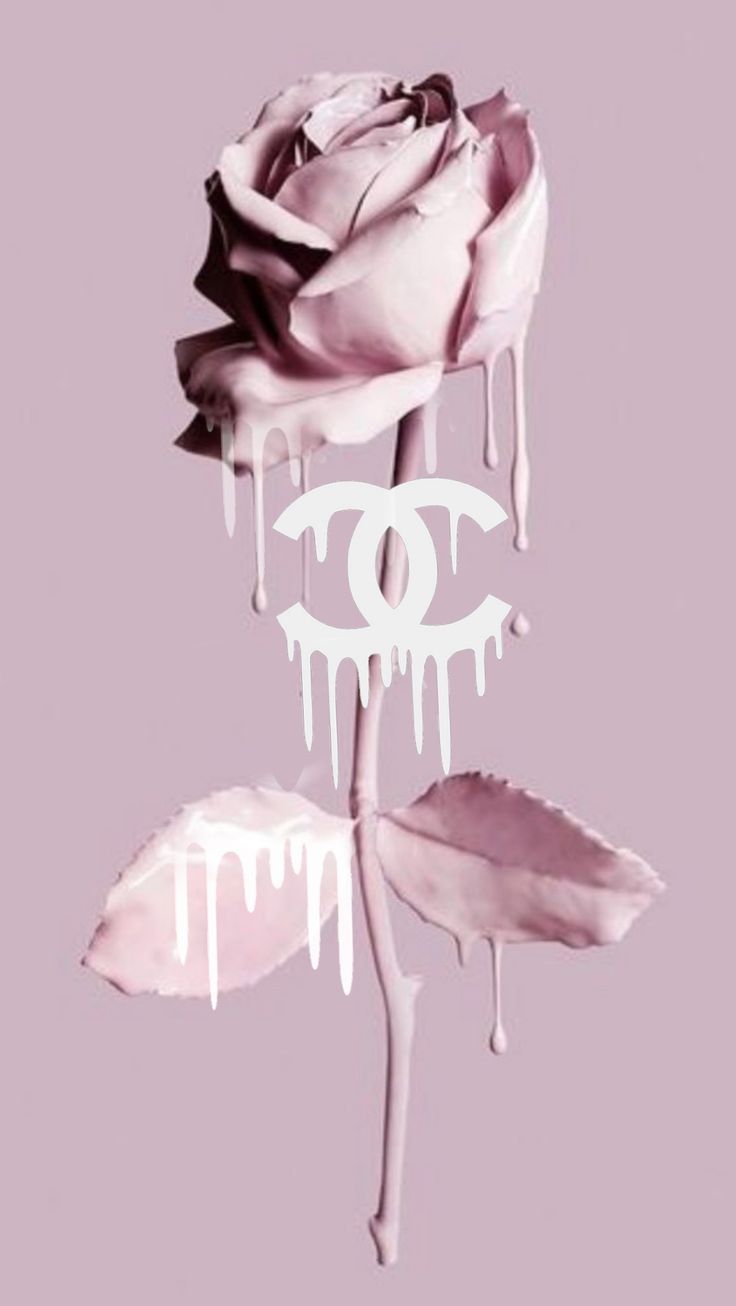 The chanel logo is on a pink rose - Chanel
