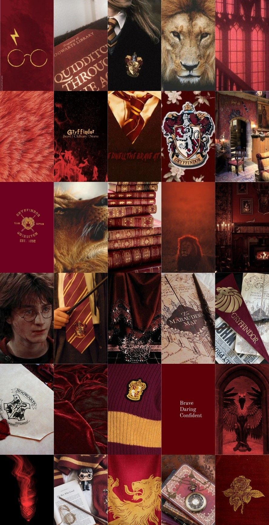 A collage of harry potter pictures - Gryffindor