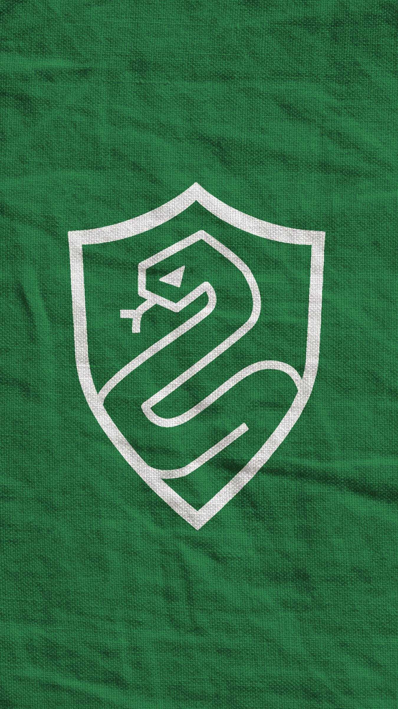 Close-up of the green and white crest on a tee shirt. - Slytherin