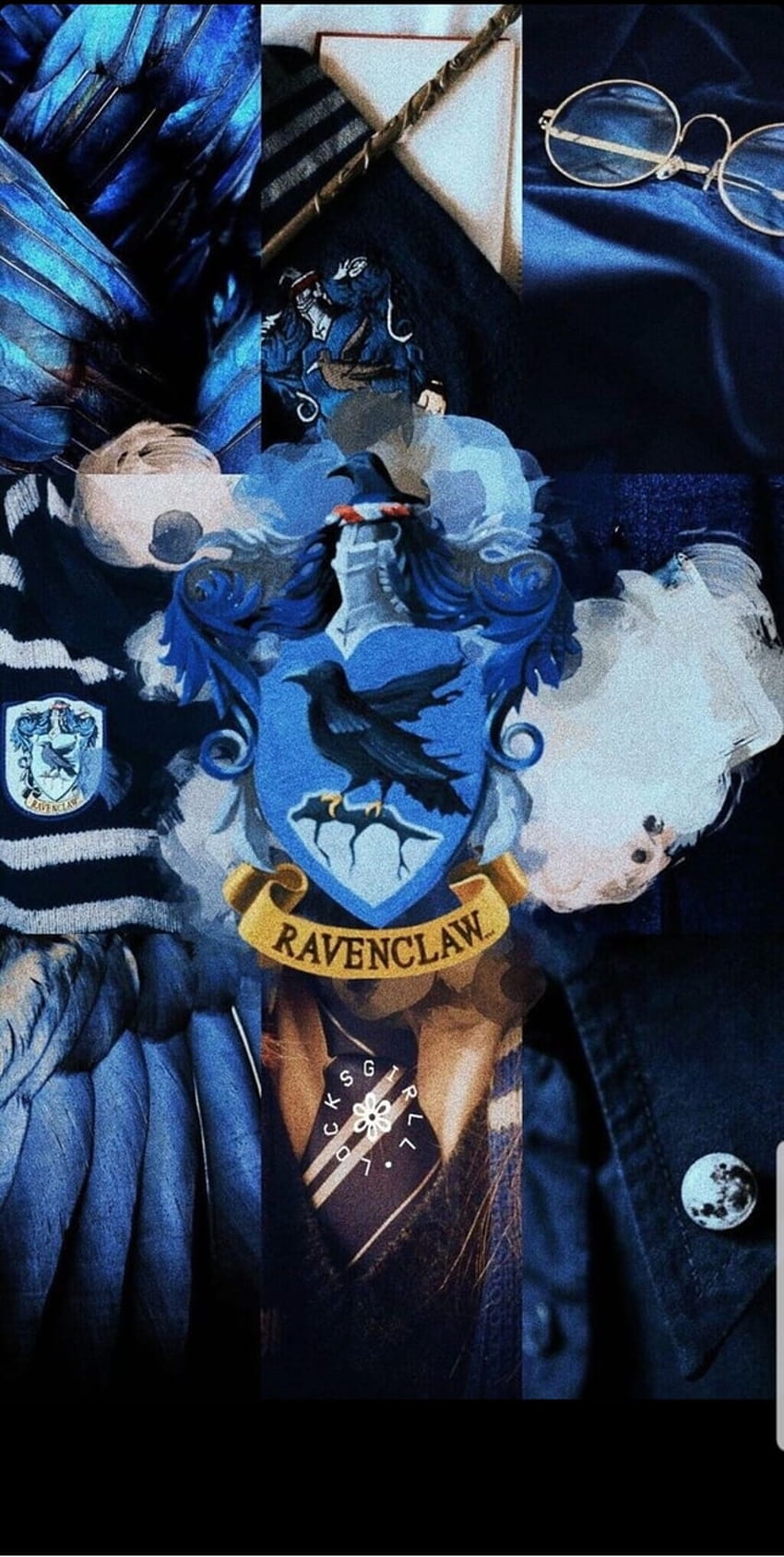 A collage of Harry Potter items including a Ravenclaw banner, glasses, and a scarf. - Ravenclaw