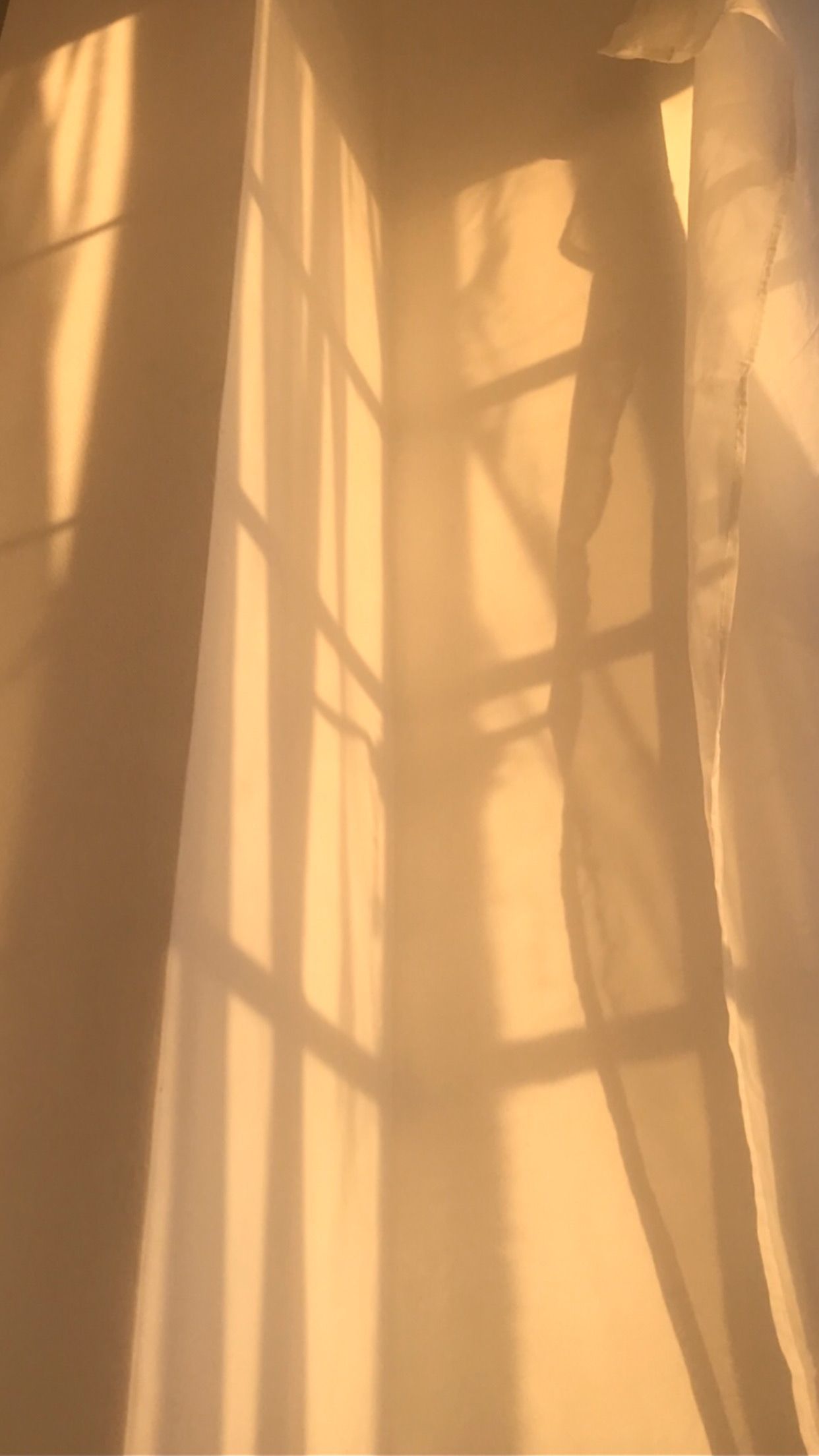 A shadow of a person standing near a window with light coming through the curtains. - Sunlight