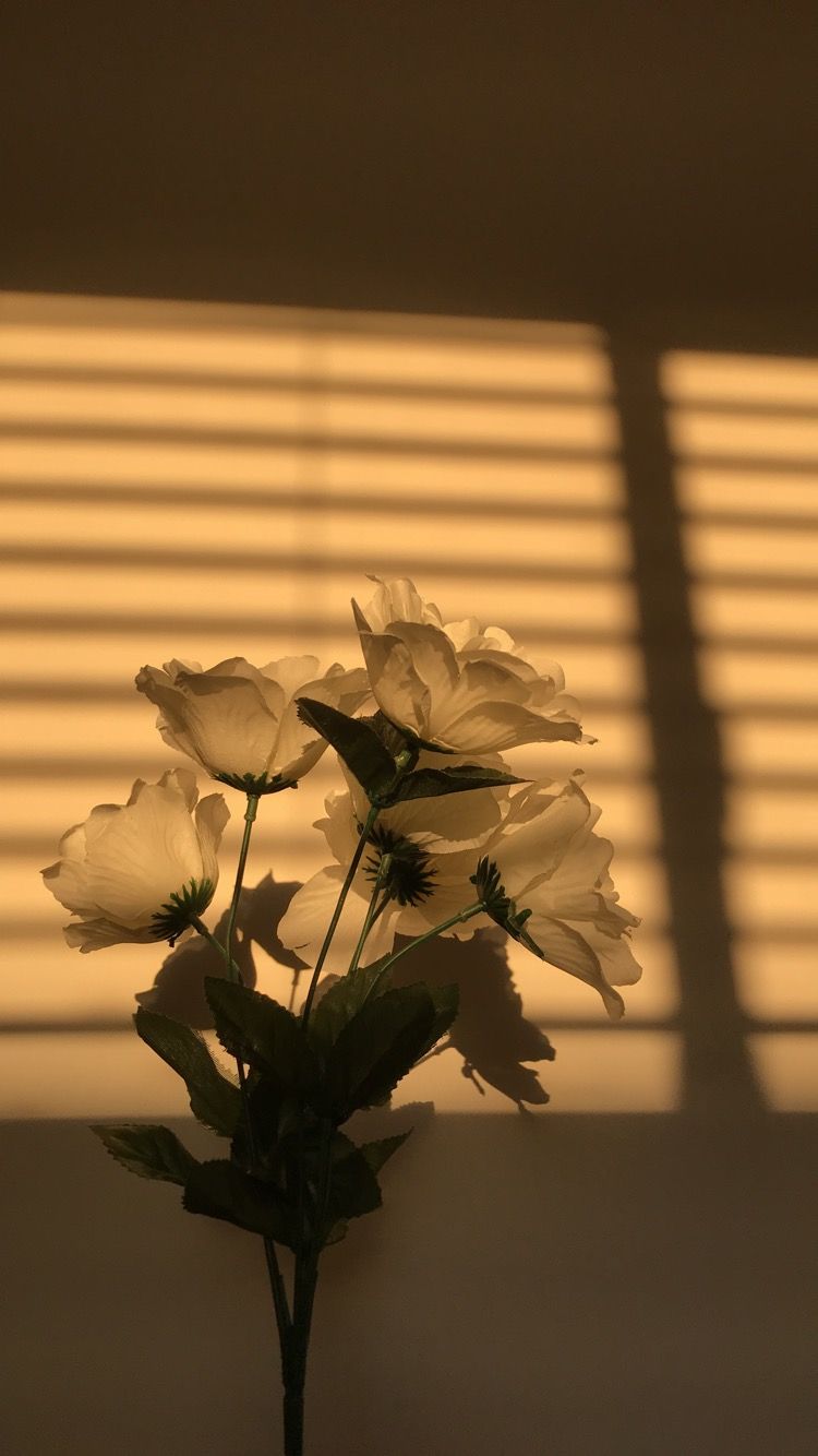A vase of flowers in front of a window with the blinds closed. - Sunlight