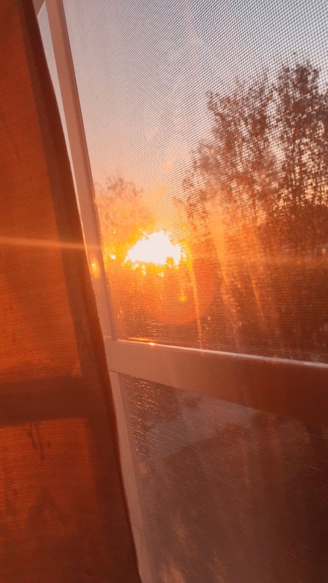 A sunset through a window with a white frame and a white mesh screen. - Sunlight