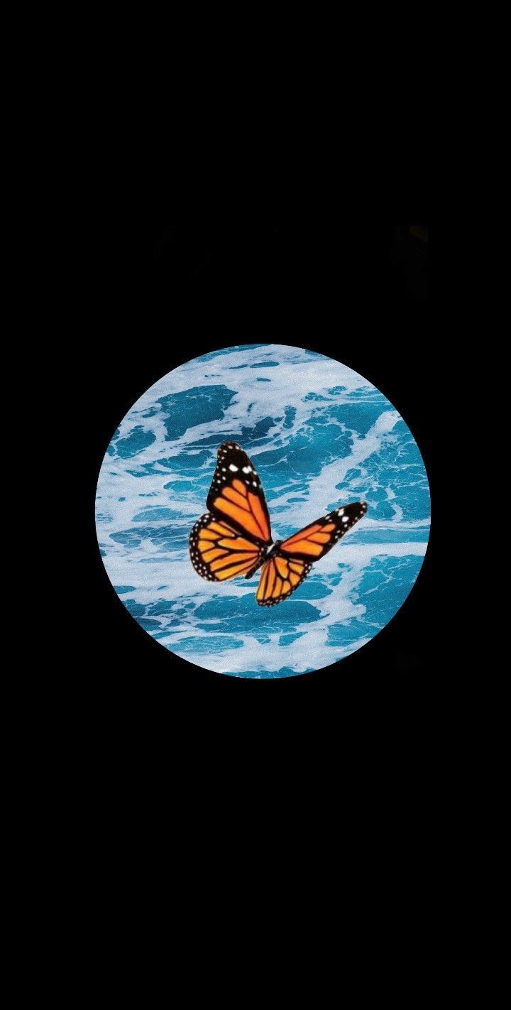 A butterfly over the sea - Modern