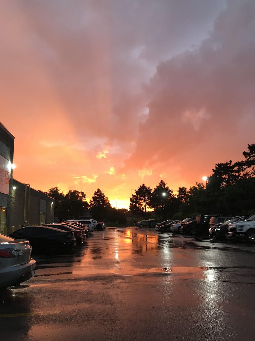 A beautiful sunset over a parking lot with a store. - Sunlight