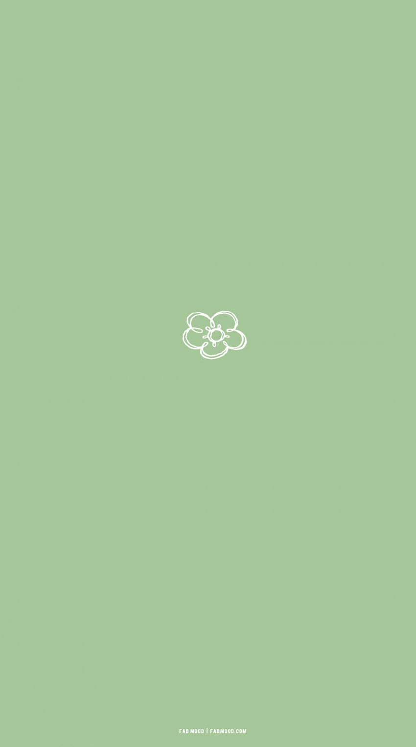 Aesthetic phone wallpaper with a white flower on a green background - Sage green