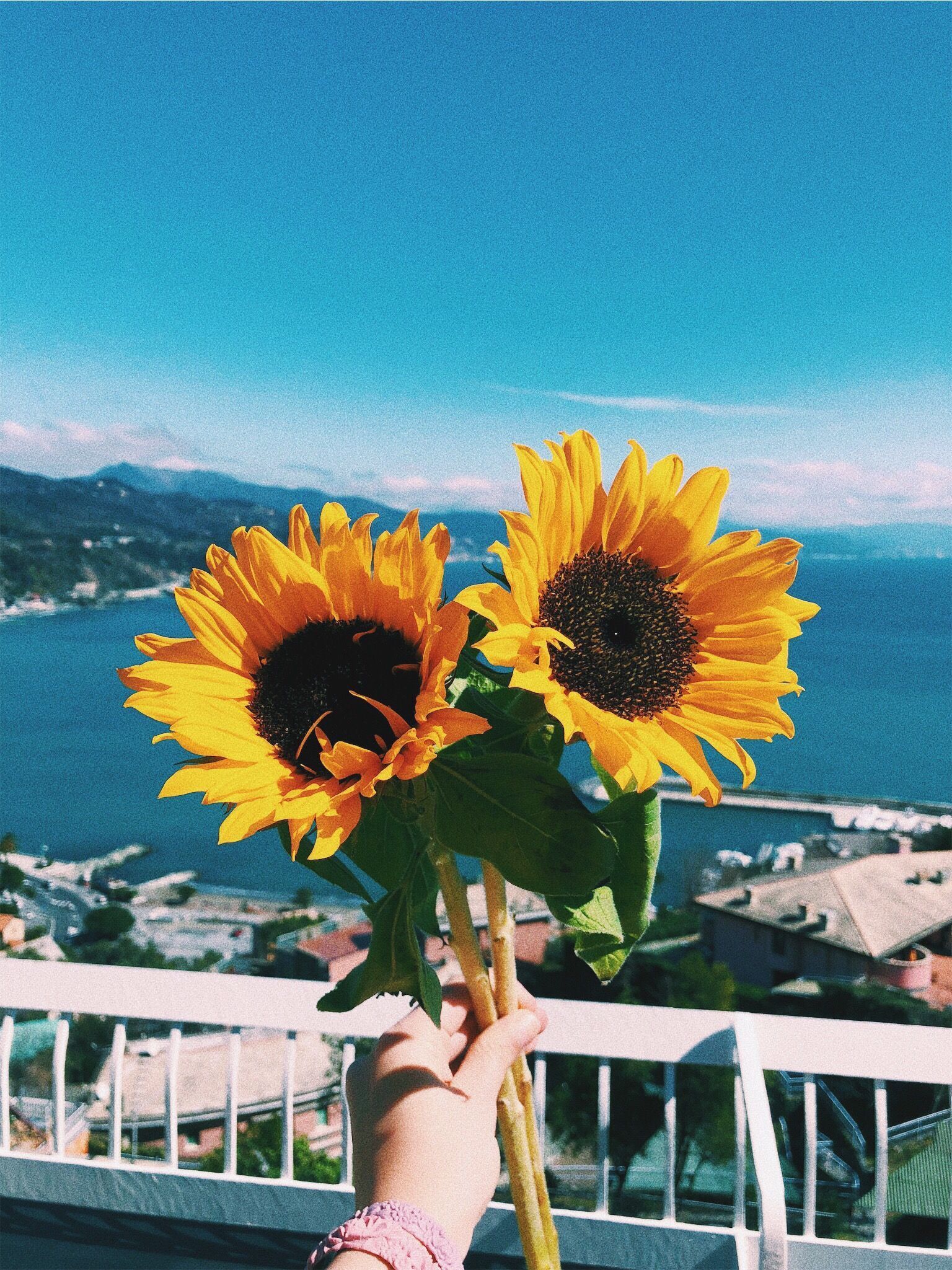 A person holding two yellow sunflowers in front of a body of water - Bright