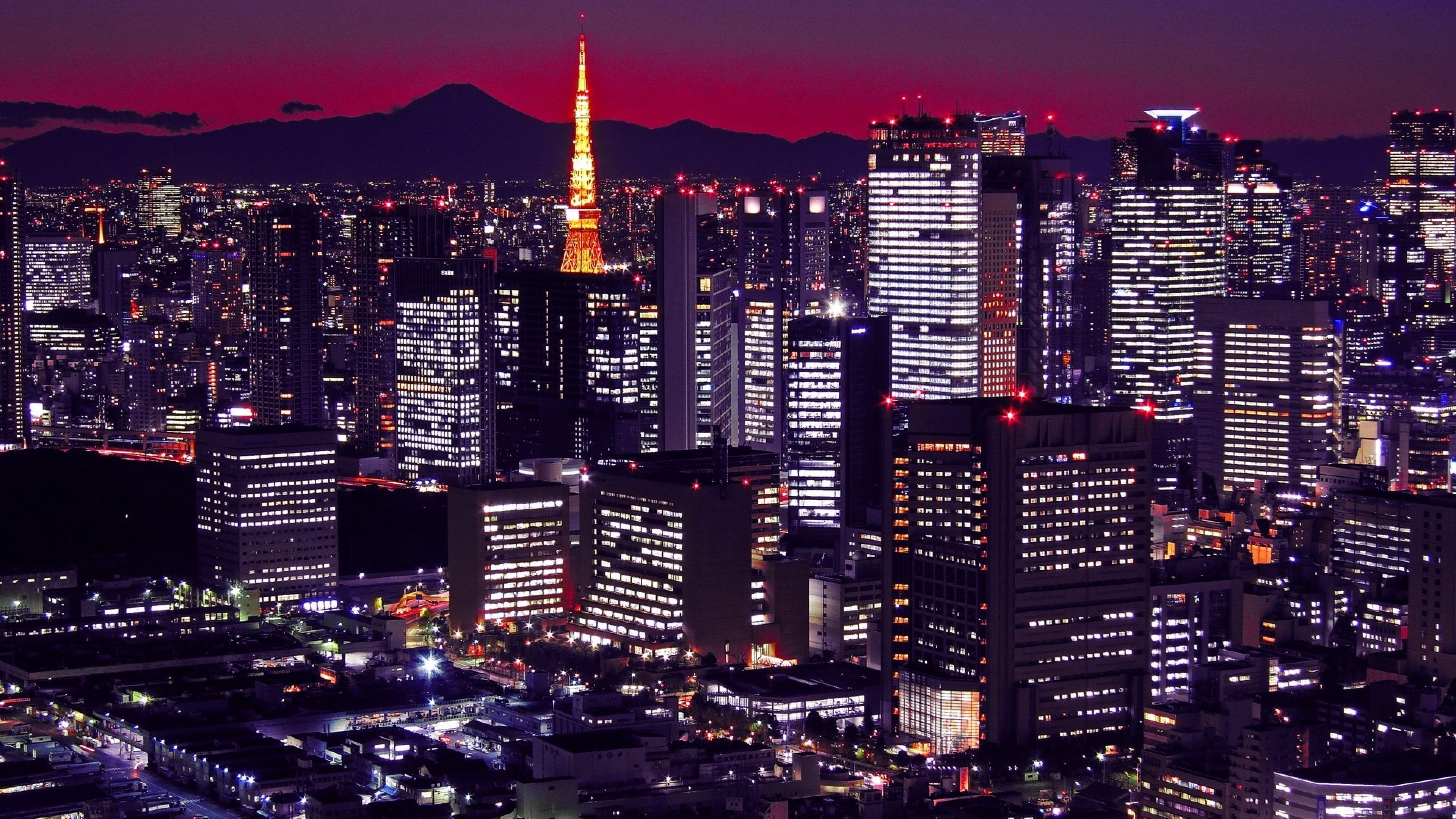 Tokyo at night with the Tokyo Tower in the background - Tokyo