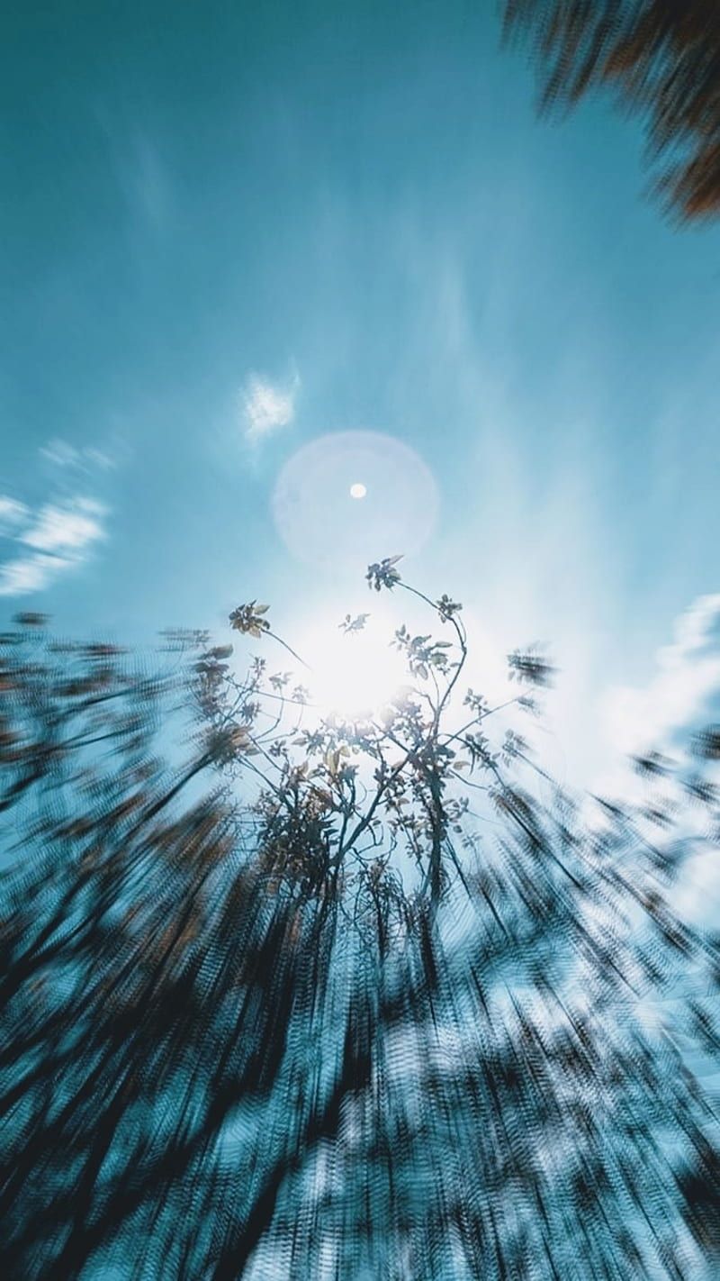 A blurry image of trees and the sun - Blurry