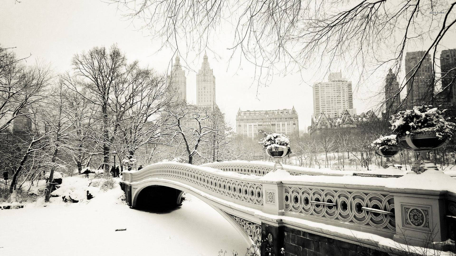 A bridge is covered in snow and ice - Snow, winter