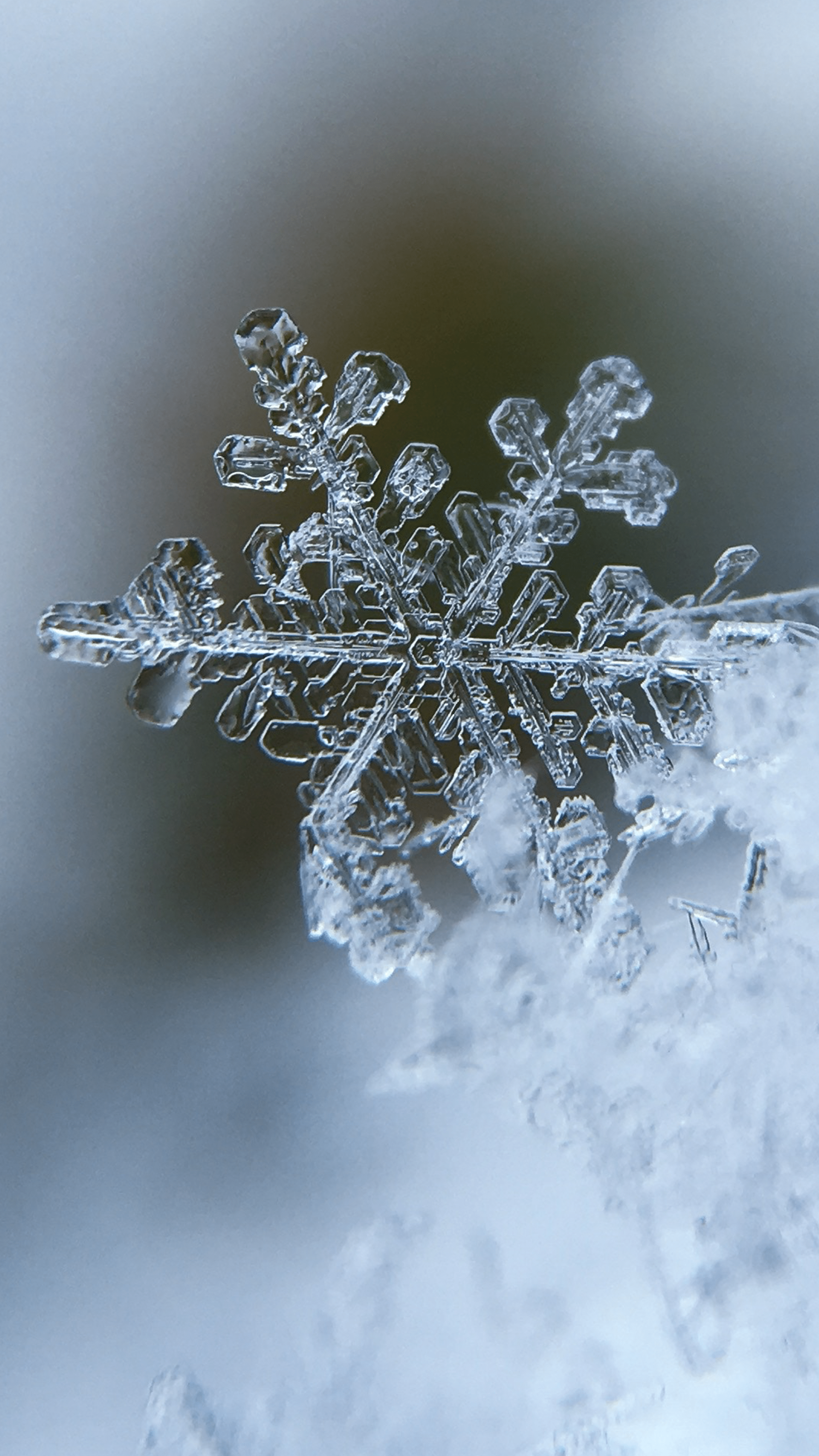 A snowflake is sitting on top of some ice - Snow, snowflake, ice, winter