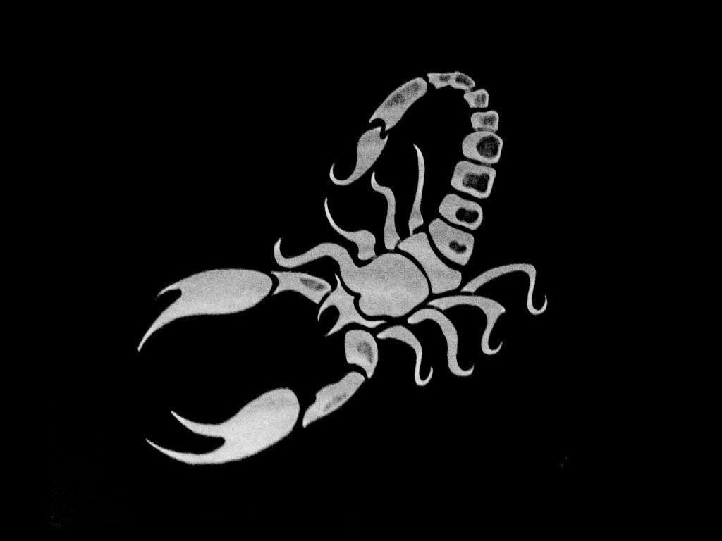 A scorpion on black background - Scorpio