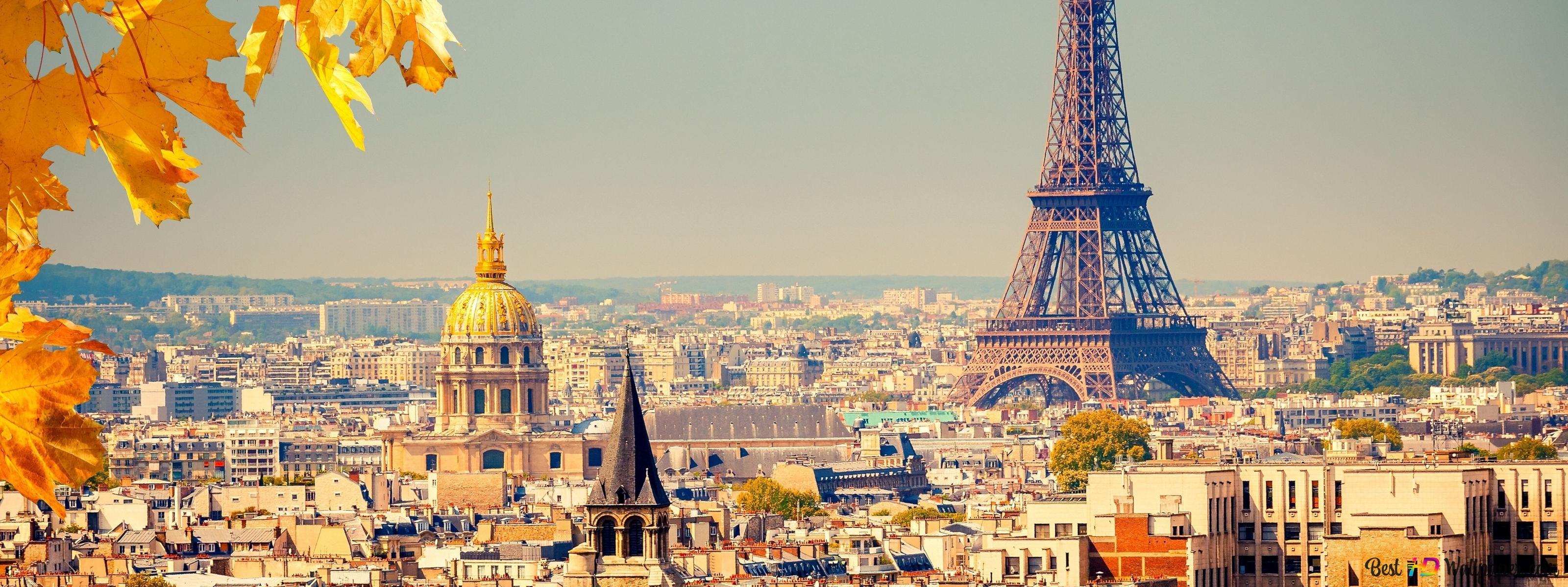 Perfect view of leaves and eiffel tower in paris city in autumn 4K wallpaper download