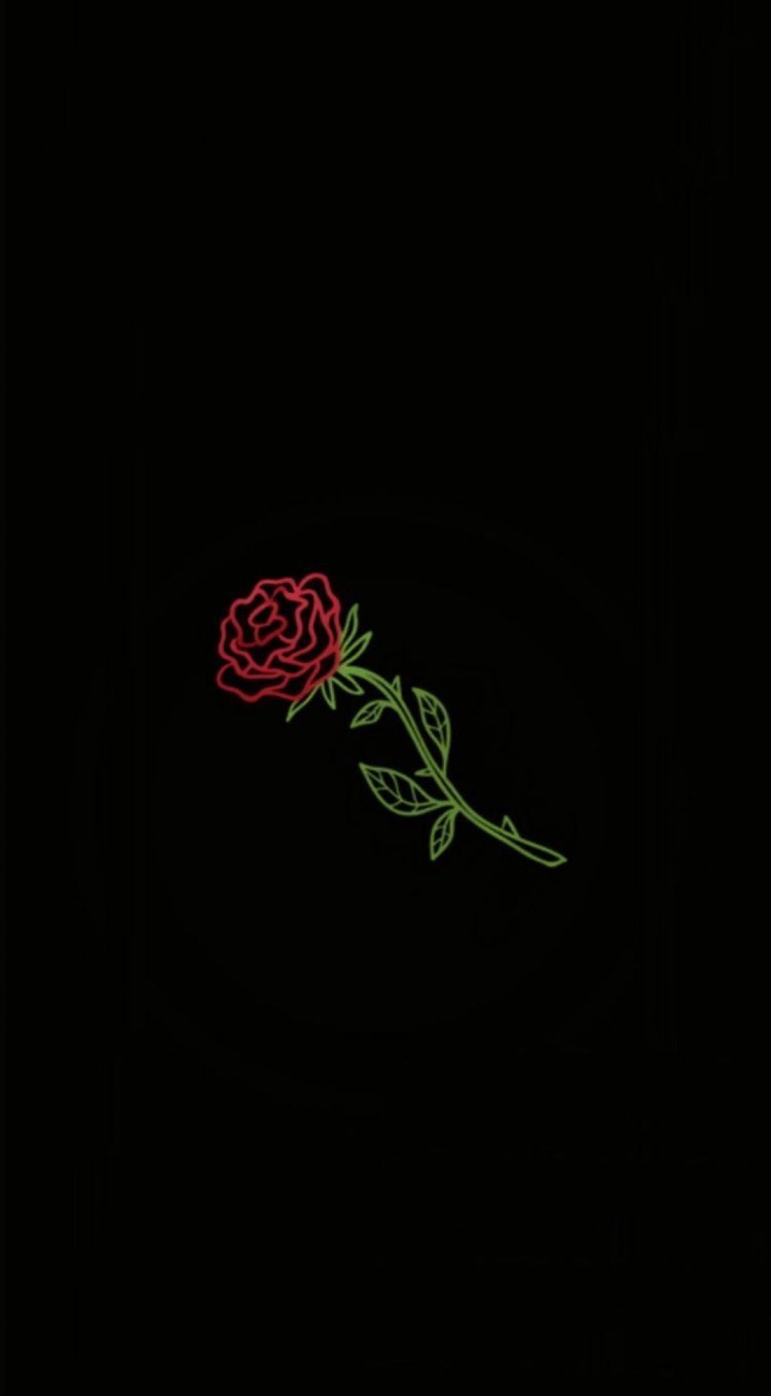 A black background with the red rose on it - Roses