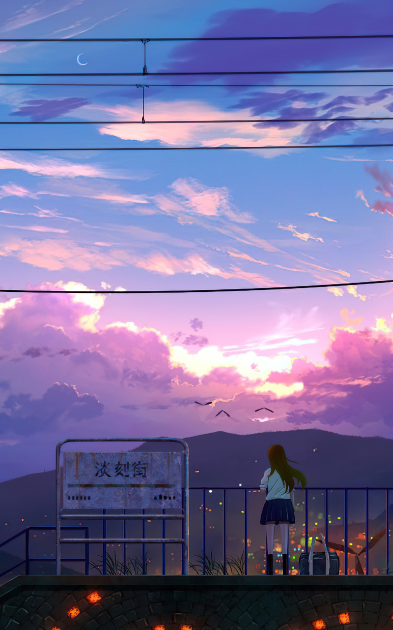A woman standing on a bridge at sunset - Anime