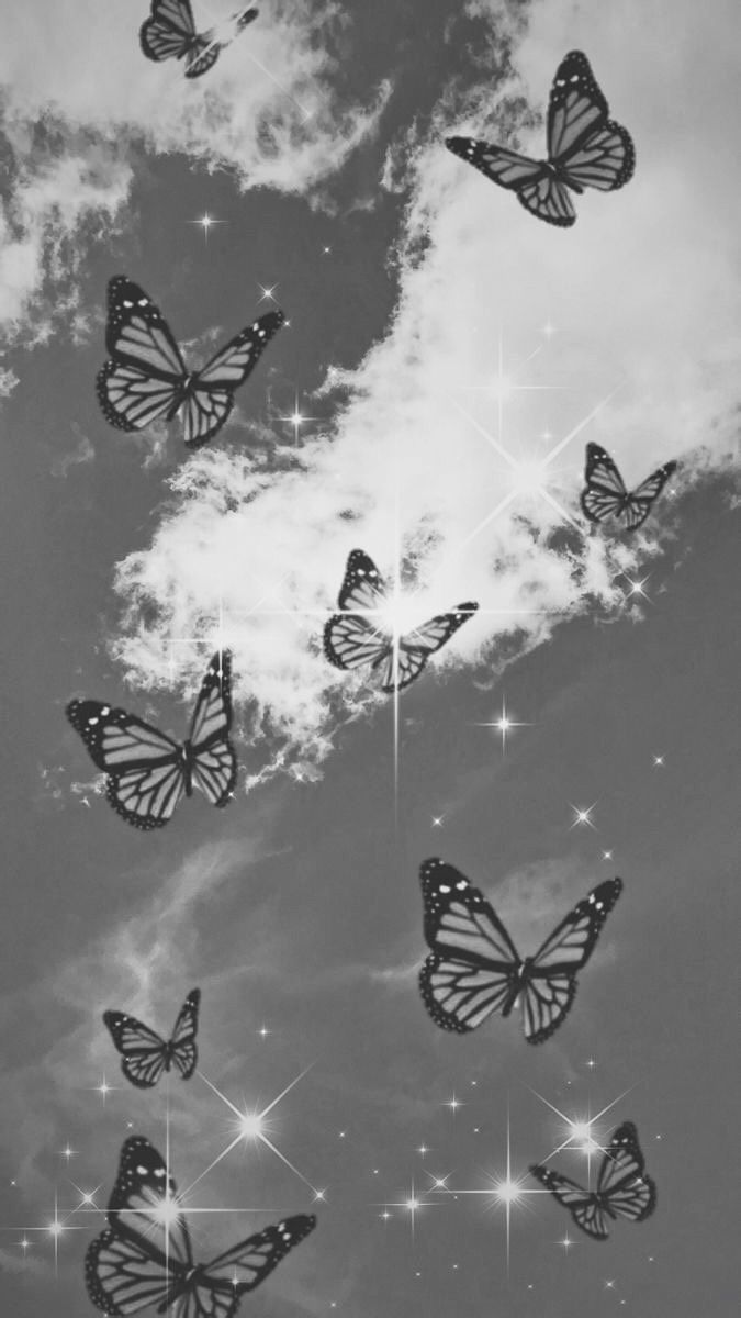 Aesthetic butterfly wallpaper for phone backgrounds. - Gray
