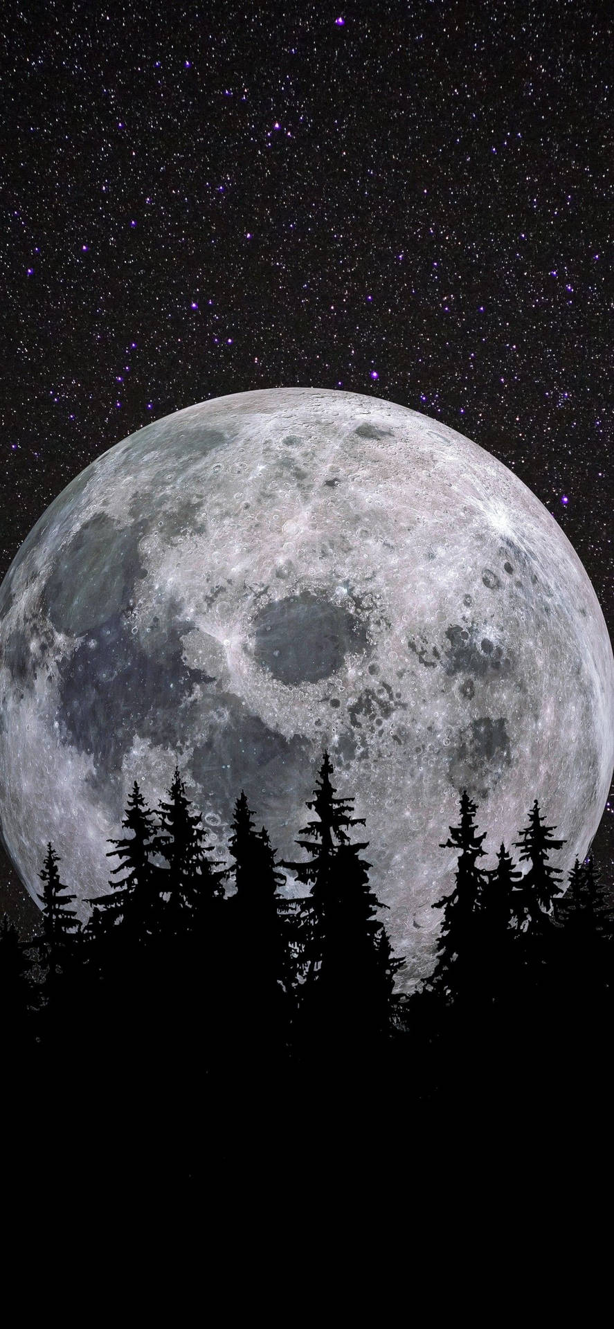 Download Moon Aesthetic Forest Wallpaper