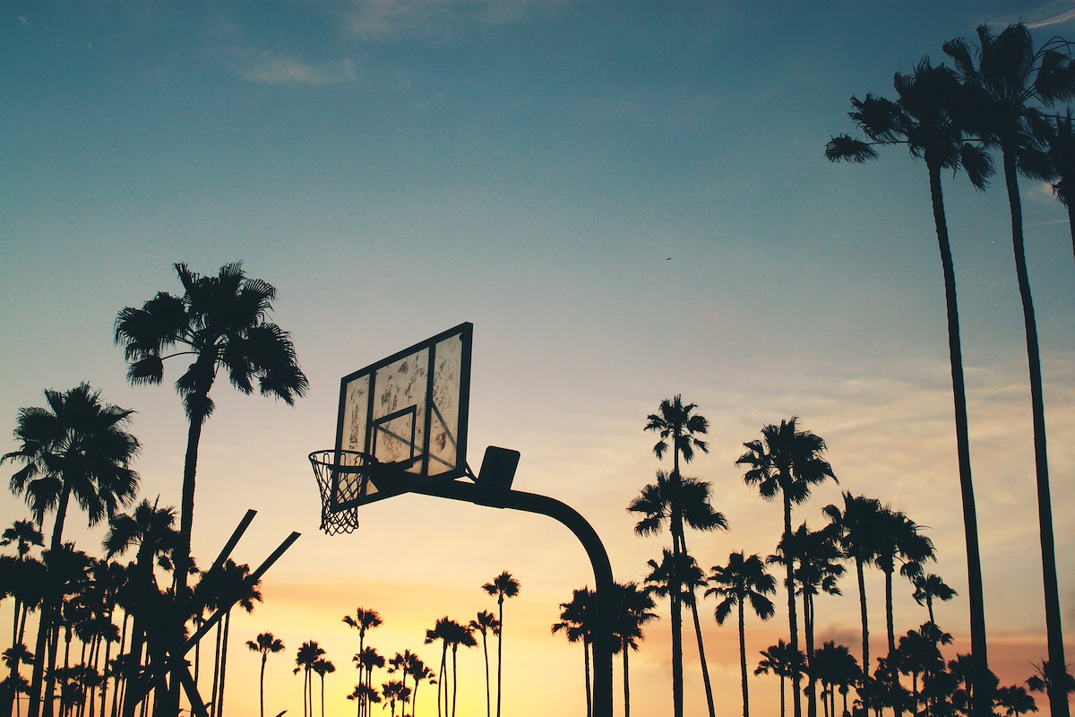 A basketball hoop with palm trees in the background - Basketball