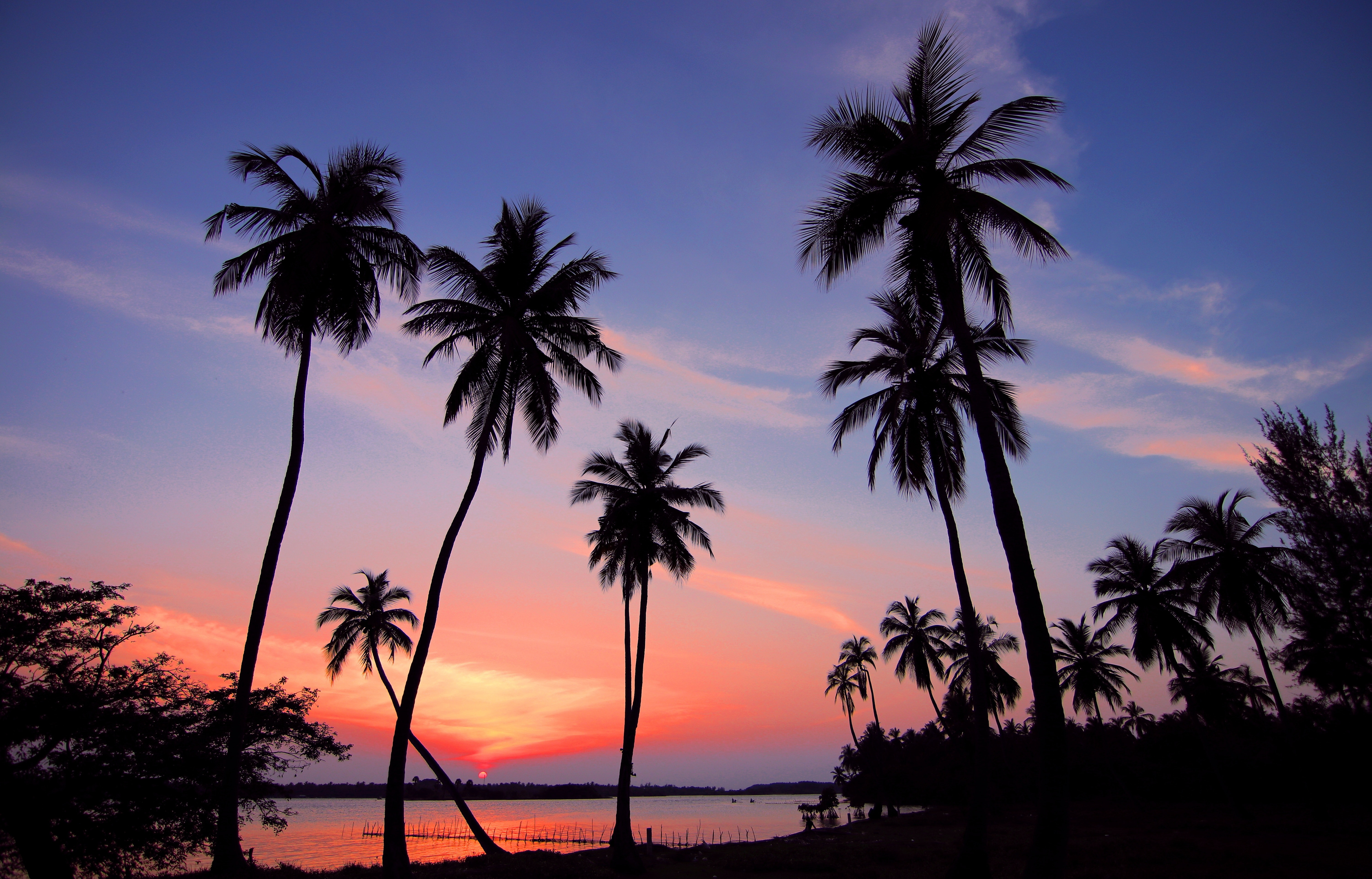 Tropical Photo, Download The BEST Free Tropical & HD Image