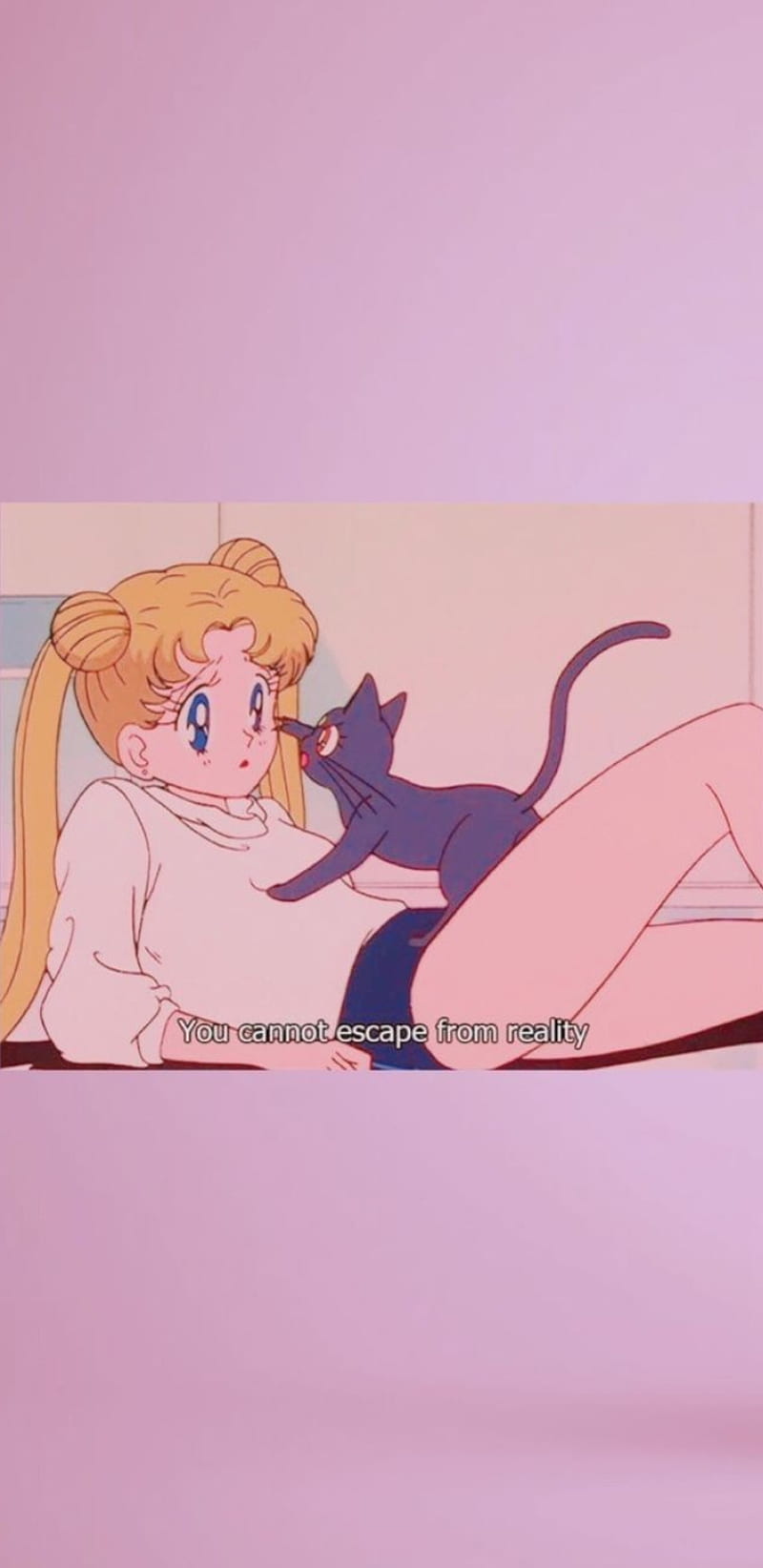 Usagi from Sailor Moon laying on the ground with Luna the cat on top of her - Sailor Moon