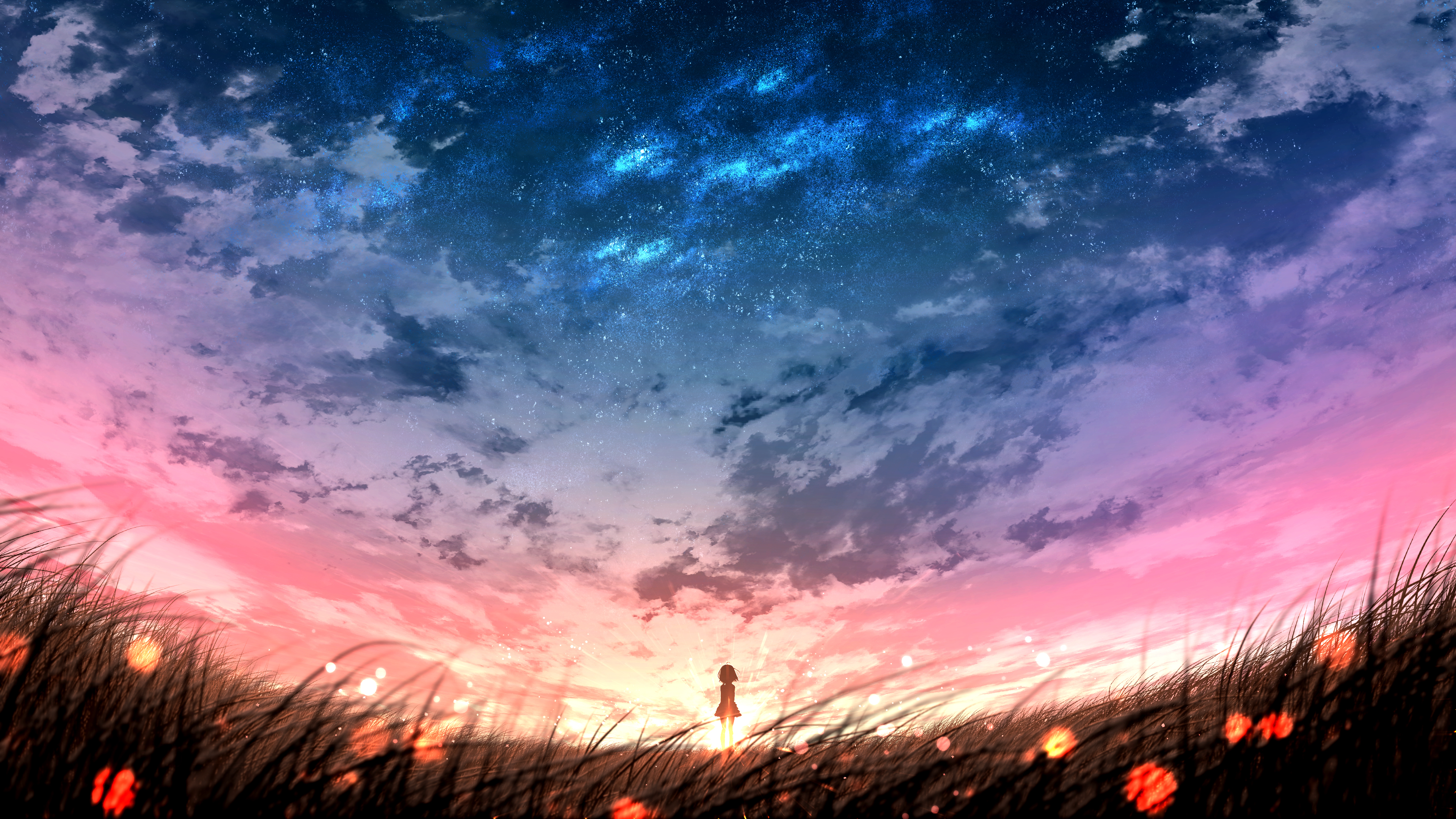 A painting of the sky and grass - Anime sunset