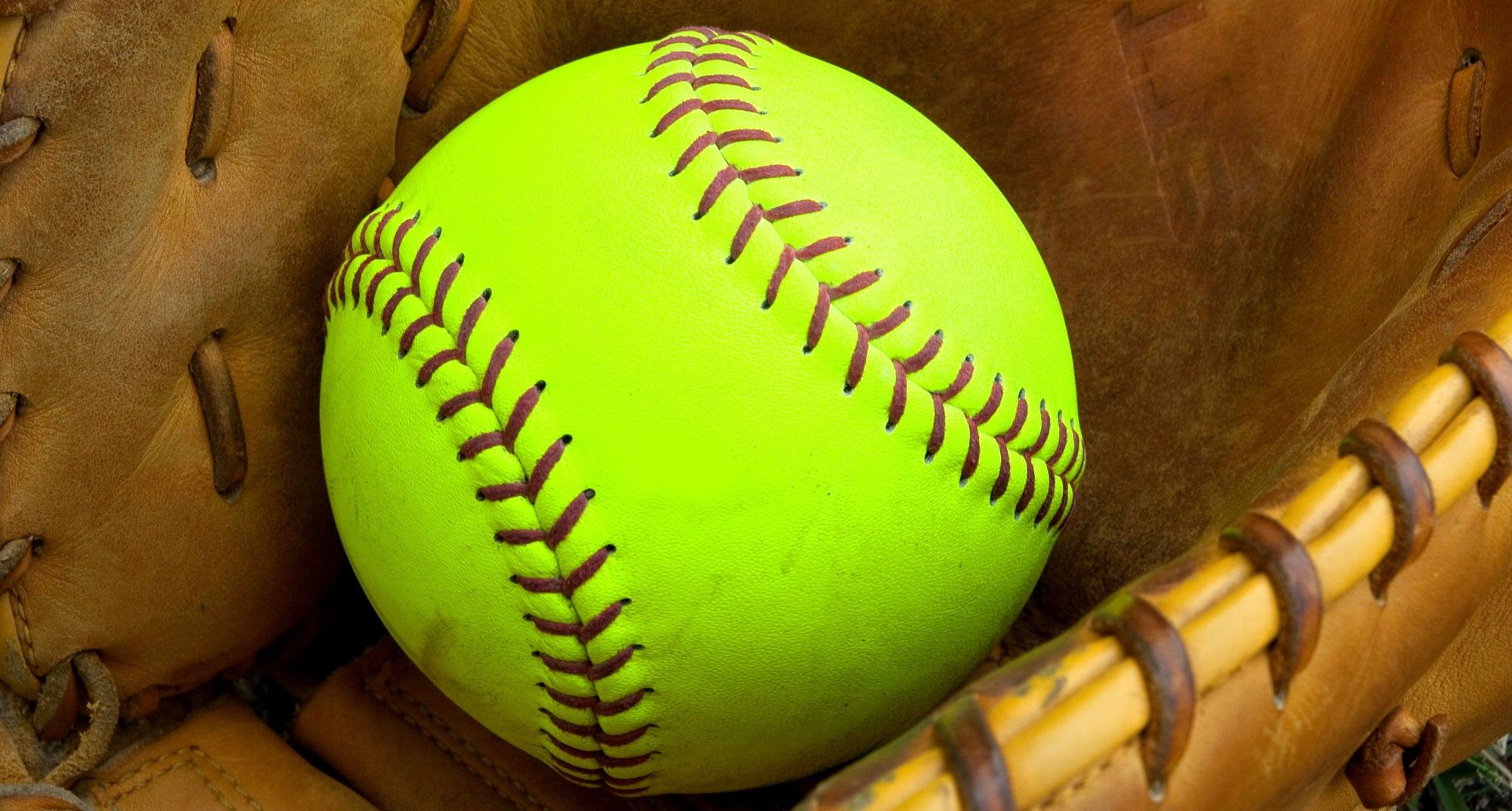 A softball is sitting in the glove - Softball