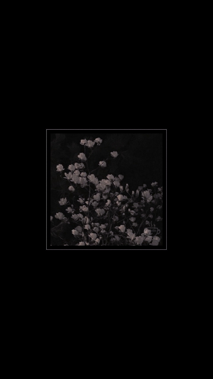 A black and white photograph of flowers - NCT