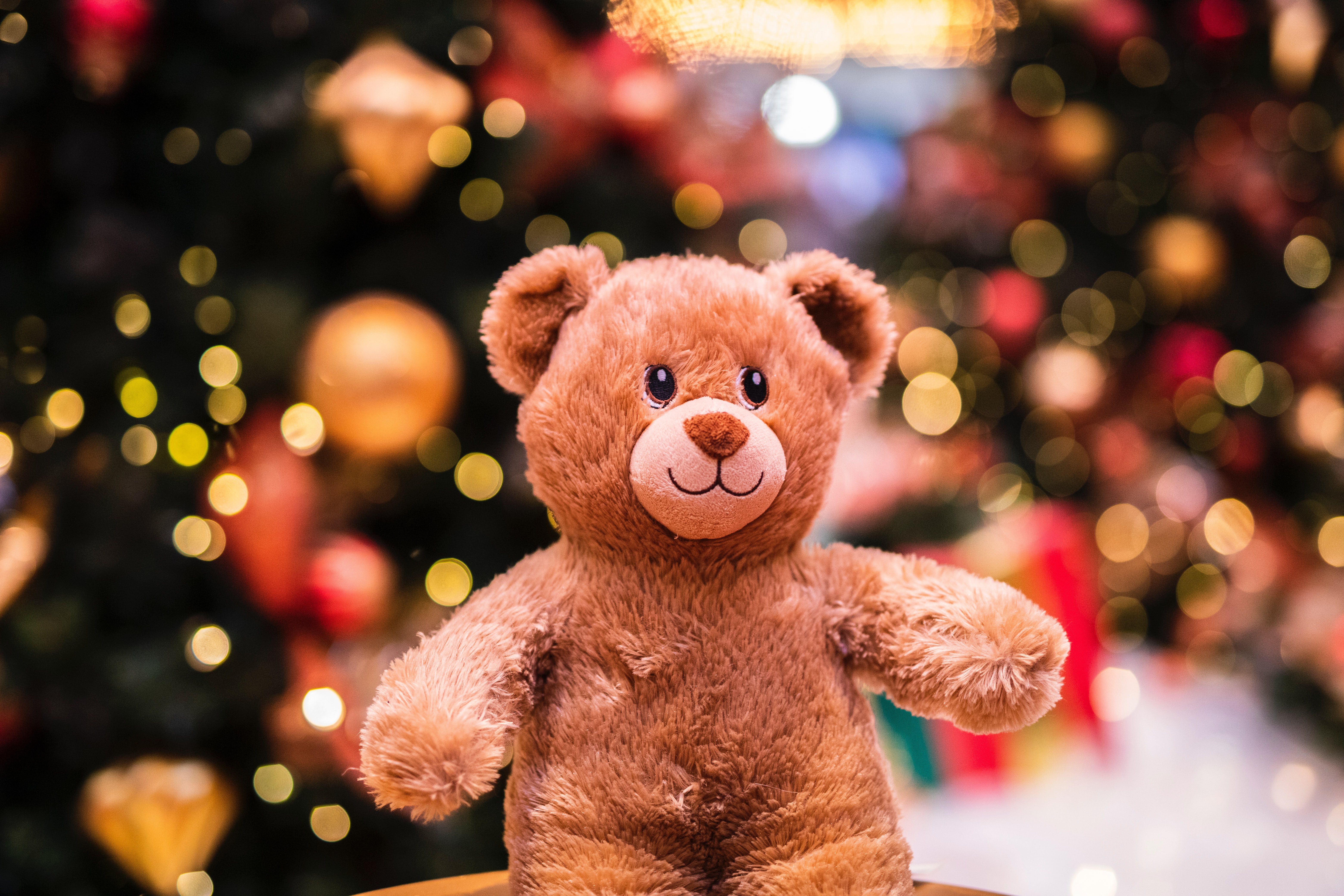 A teddy bear in front of a Christmas tree. - Teddy bear