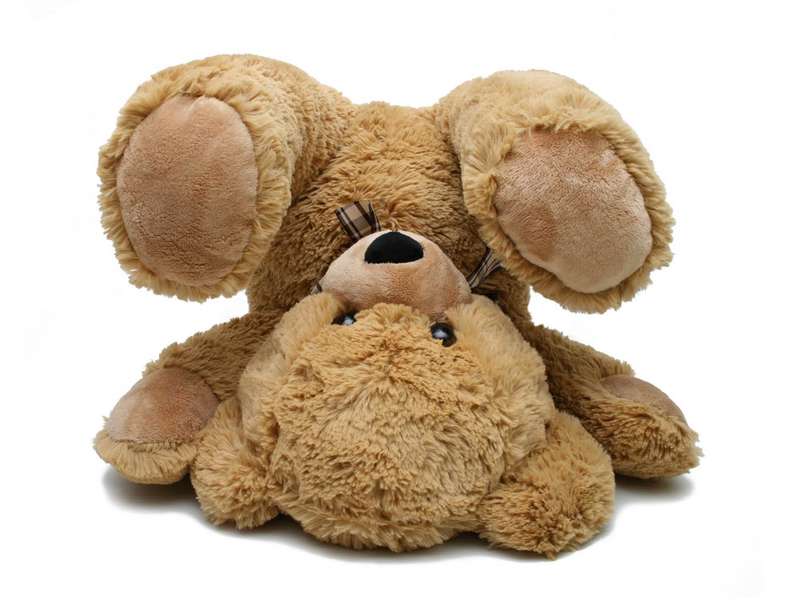 A teddy bear that is laying on its back - Teddy bear