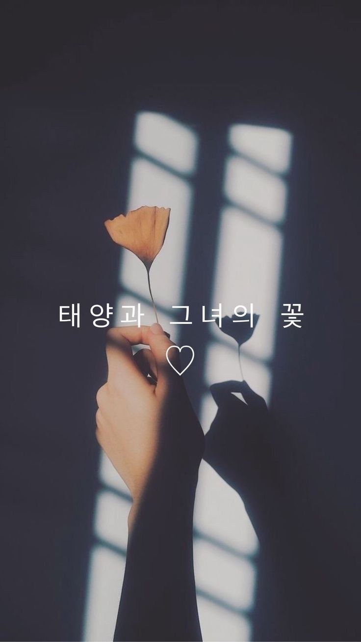 A person holding up an orange leaf - Korean
