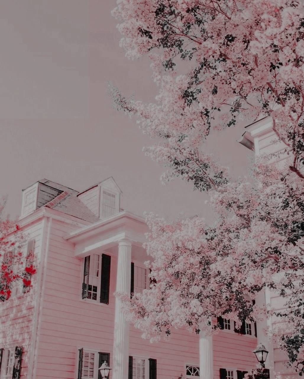 A pink house with a tree in front of it - Korean
