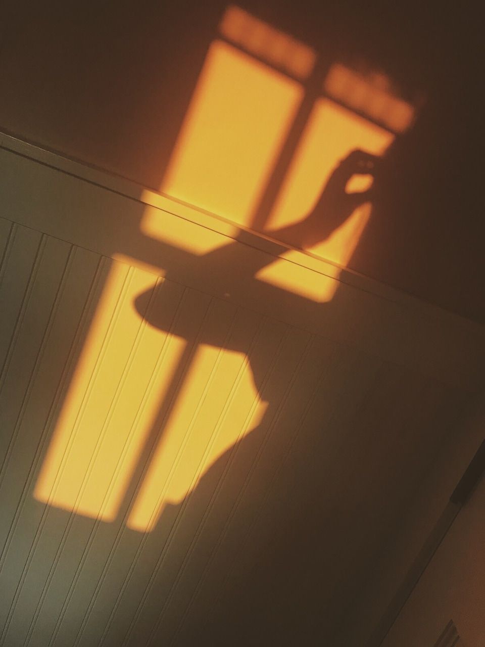 Shadow of a ballerina on a wall - Shadow