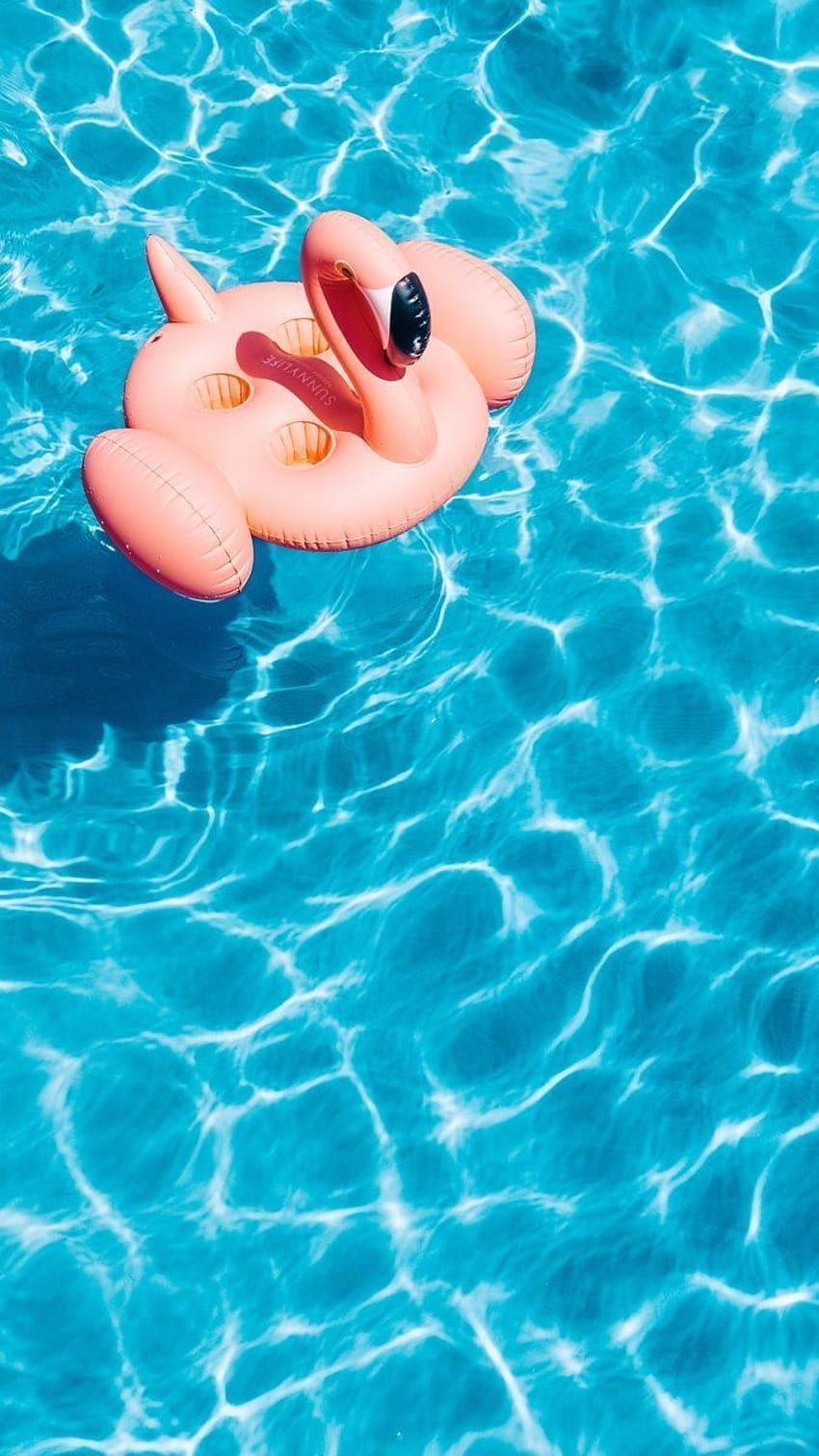 A flamingo floatie in a pool - Swimming pool