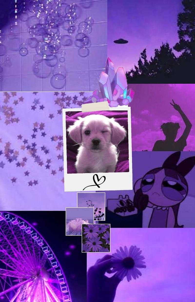 Purple Aesthetic, collage, puppy, HD phone wallpaper