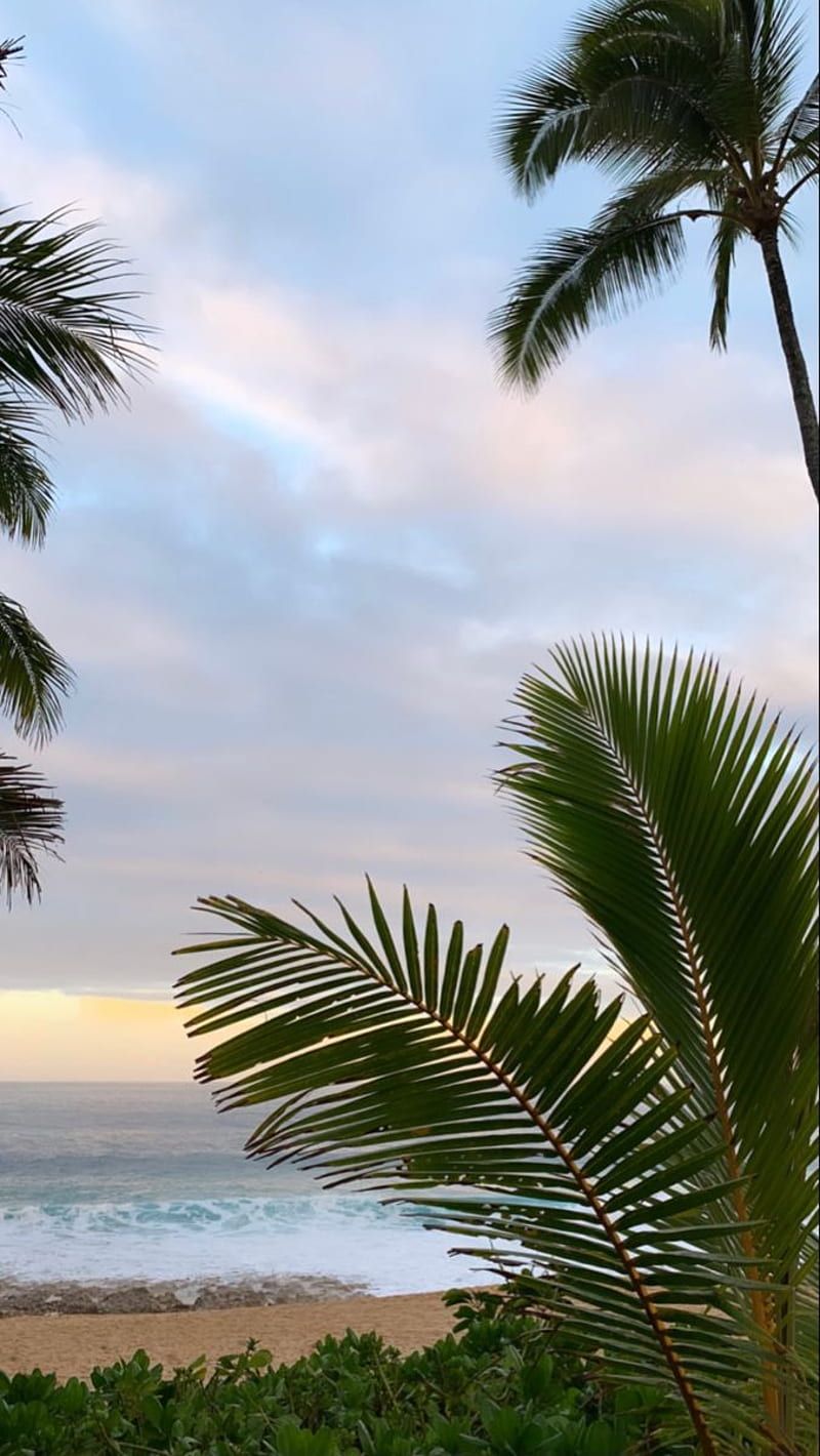 Hawai'i 彡. Scenery, Sky aesthetic, Ocean, Hawaii Aesthetic, HD phone wallpaper