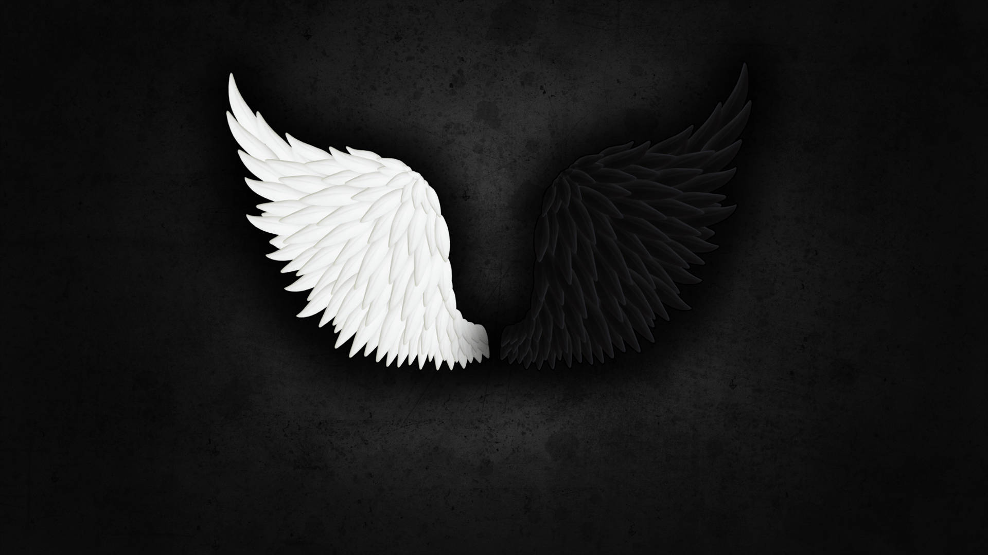 Black and white angel wings on a dark background - Wings
