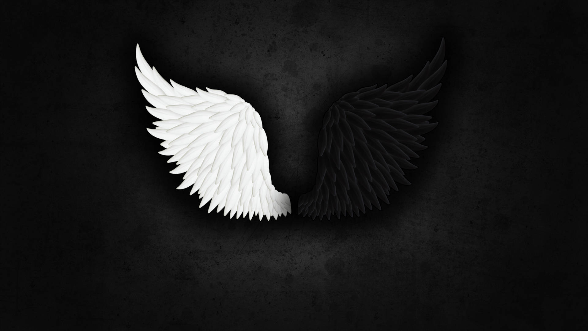 Download Angel Wings Wallpaper