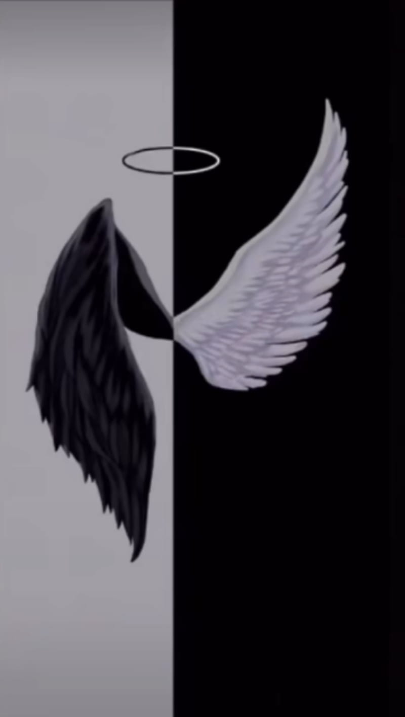 HD angel wings wallpaper