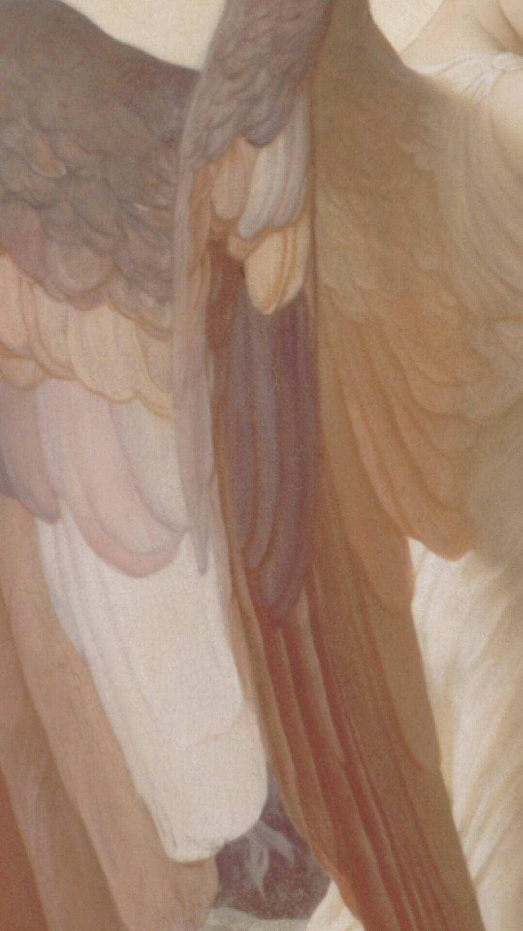 Download Aesthetic Beige Angel Wings Wallpaper