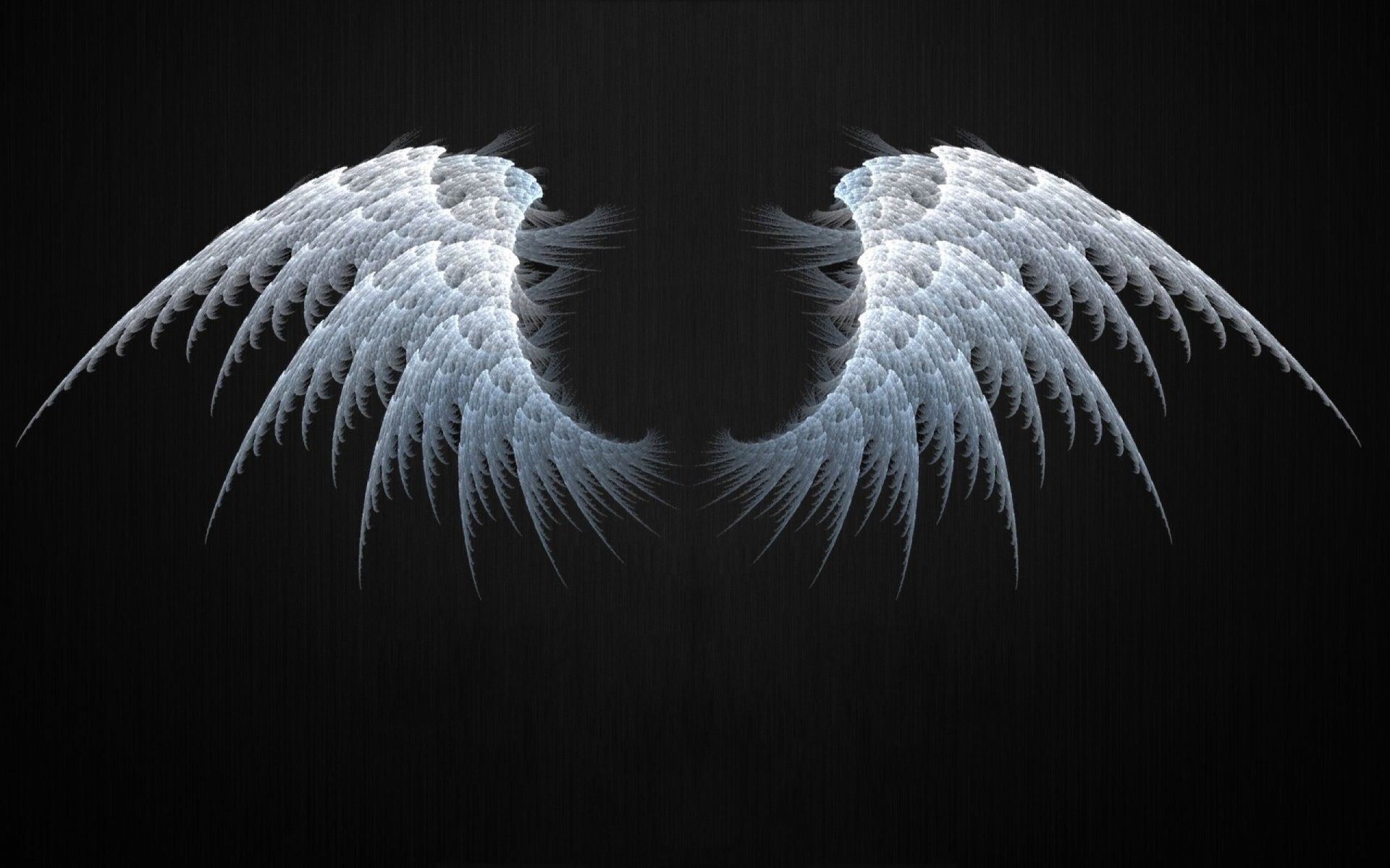 Angel wings wallpaper - photo #21 - Wings