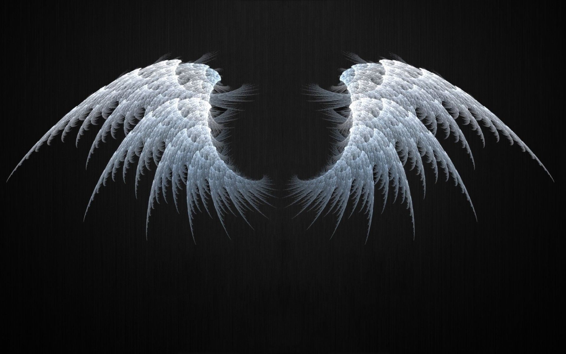 Wings Wallpaper