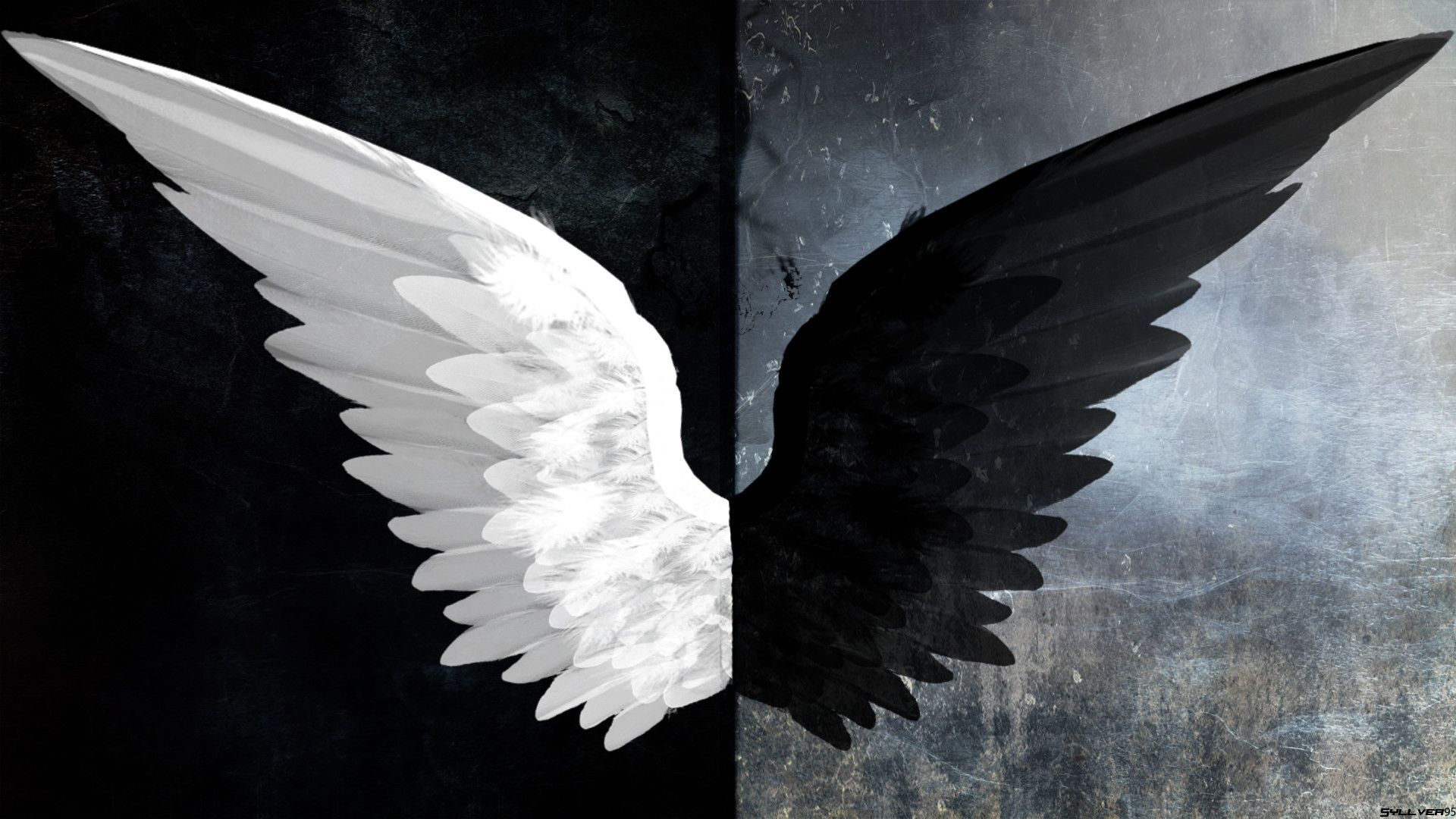 Dark Angel Wings Wallpaper Free Dark Angel Wings Background