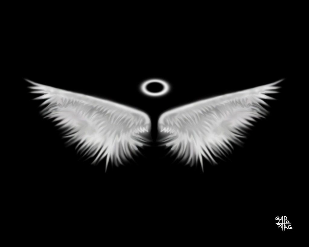 Black And White Angel Wings Wallpaper