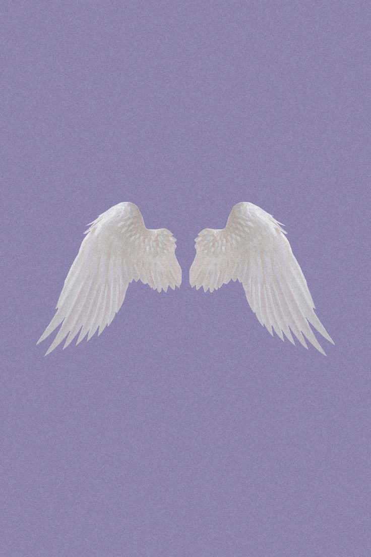 Two white angel wings on a purple background - Wings