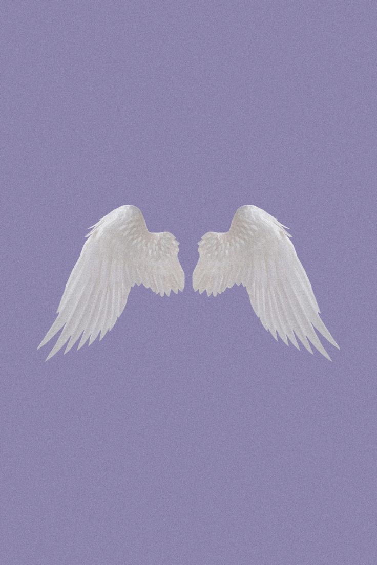 Aesthetic Wings Wallpaper