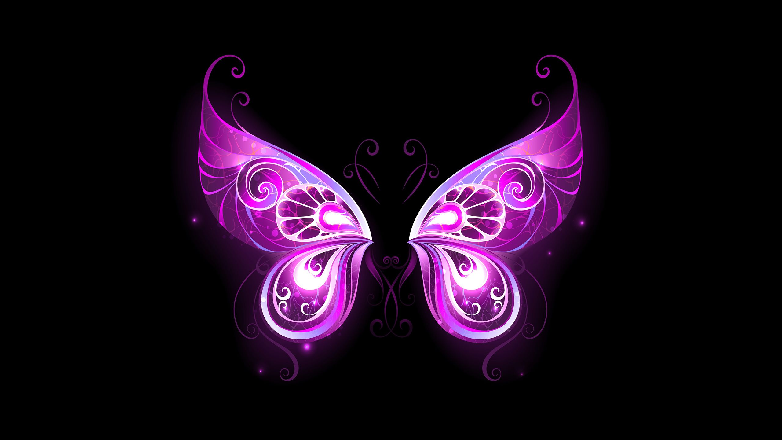 A purple butterfly with swirls on it - Wings