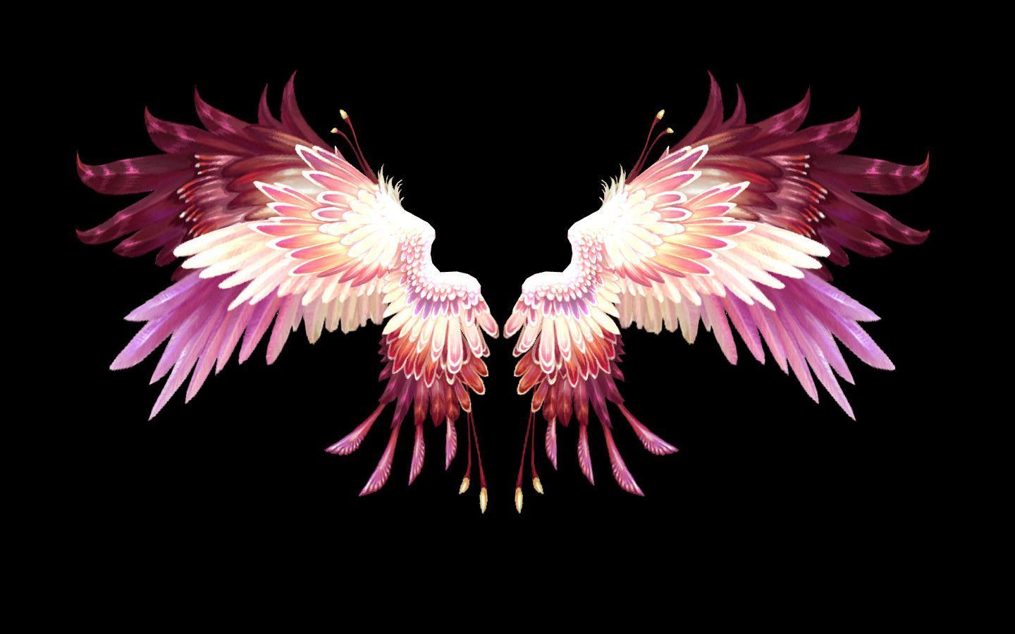 Photo wallpaper pink, feathers, wings, feathers, wings, angel, the dark background - Wings